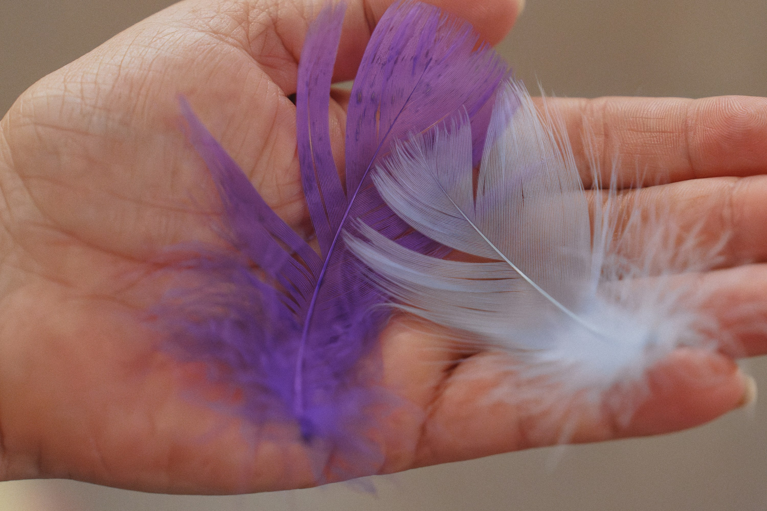 Спектакль-концерт «Как девица из лап смерти выбиралась». Фотомастерская Воробьевых