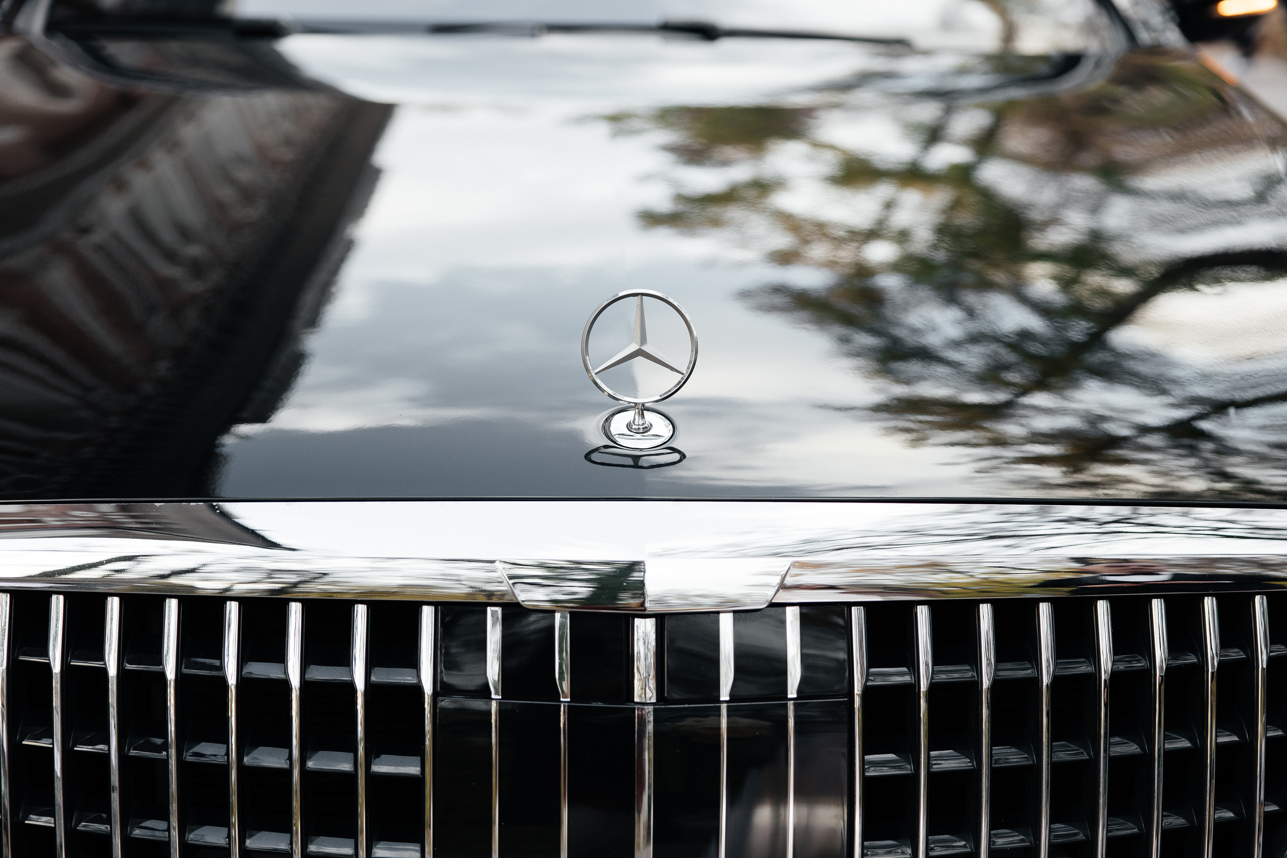 Роман и Ксения. Свадебный фотограф Москве Катя Абдурахманова и Арсен Абдурахманов