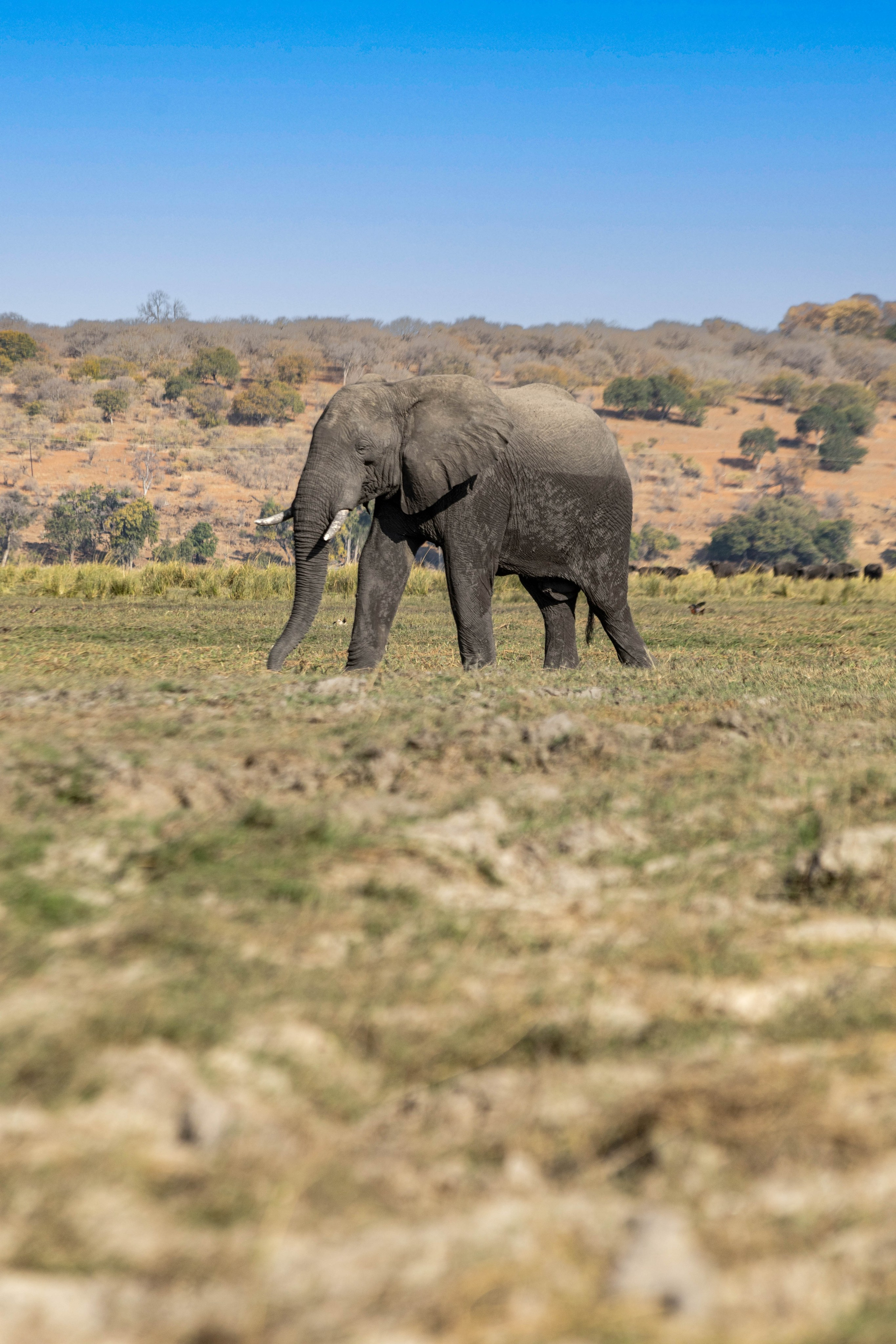 Южная Африка. B612