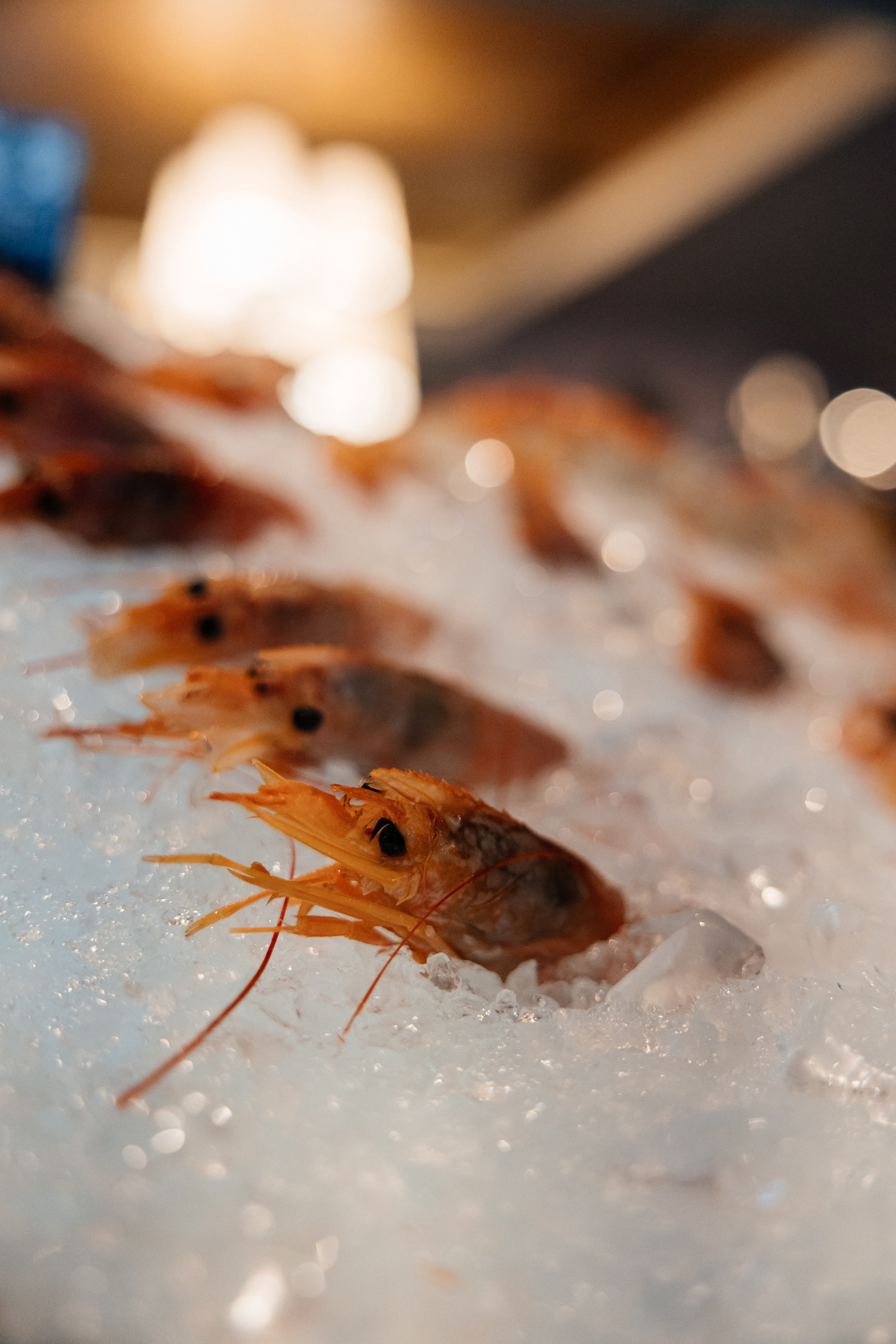 Ярослав & Надежда. Фотограф Москва Людмила Белова