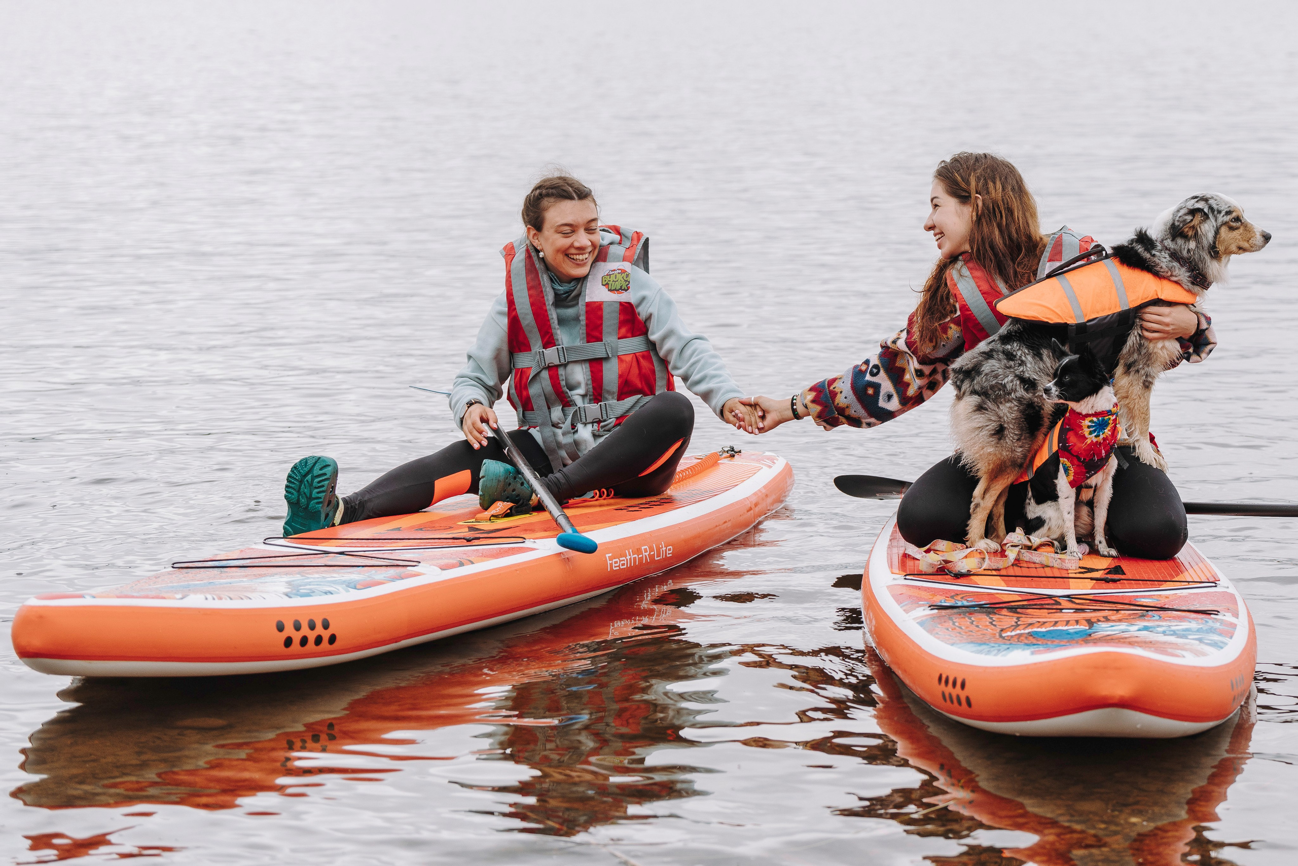 Катание на сапах с собаками. Фотограф анималист в Спб недорого Олеся Майорова
