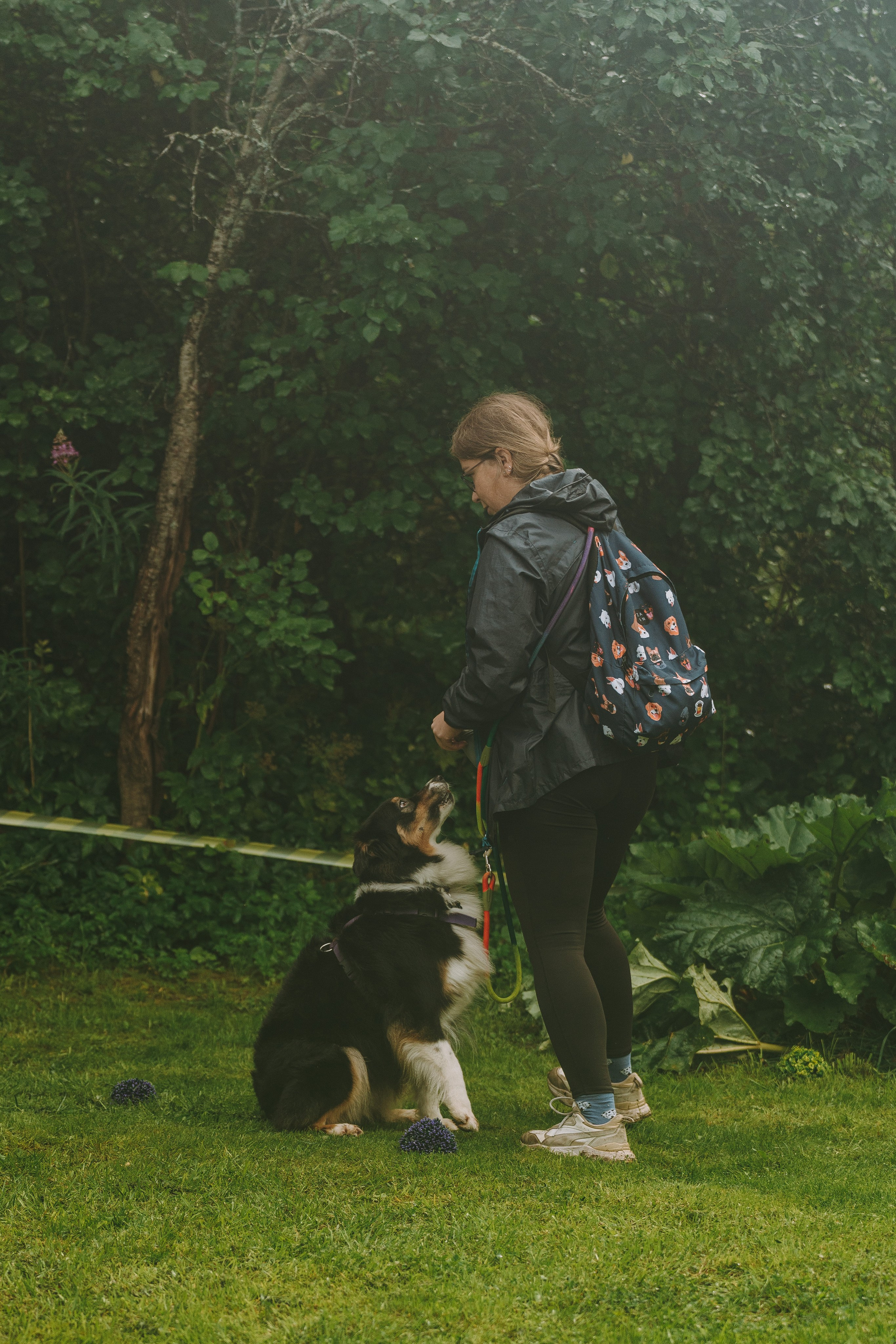Соревнования по ноузворку в Новожилово. Фотограф анималист в Спб недорого Олеся Майорова
