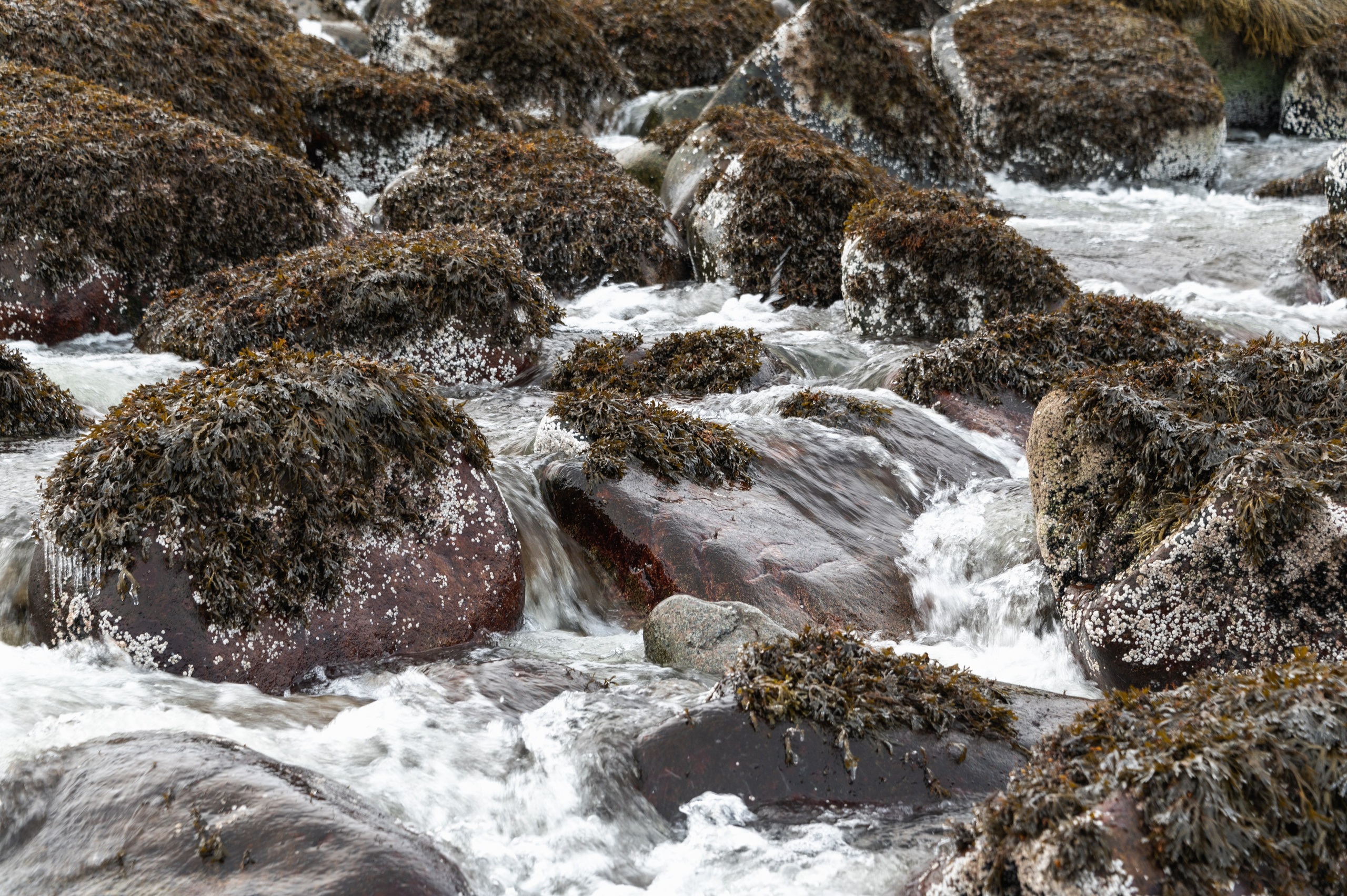Териберка. Ноябрь 2023. Фотограф Роман Адлер
