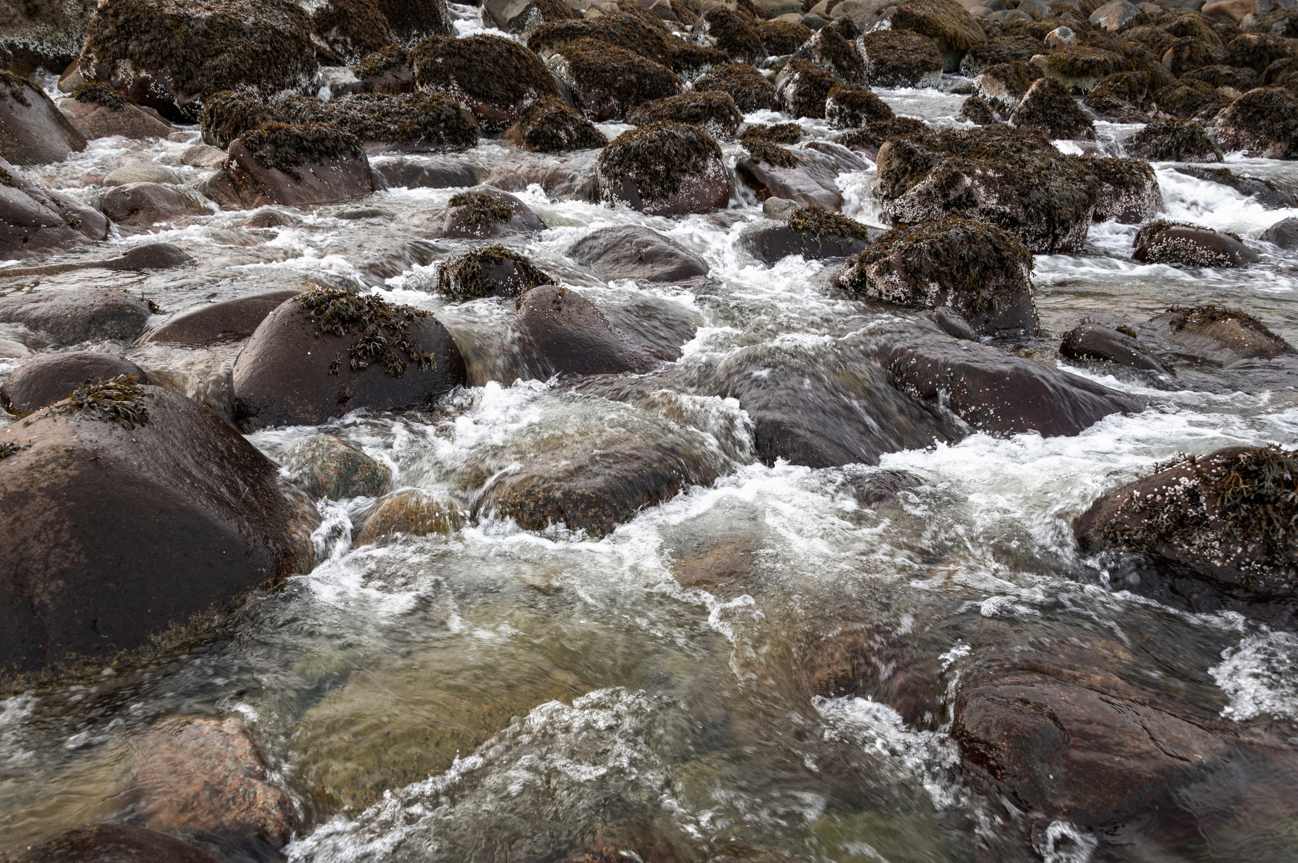 Териберка. Ноябрь 2023. Фотограф Роман Адлер