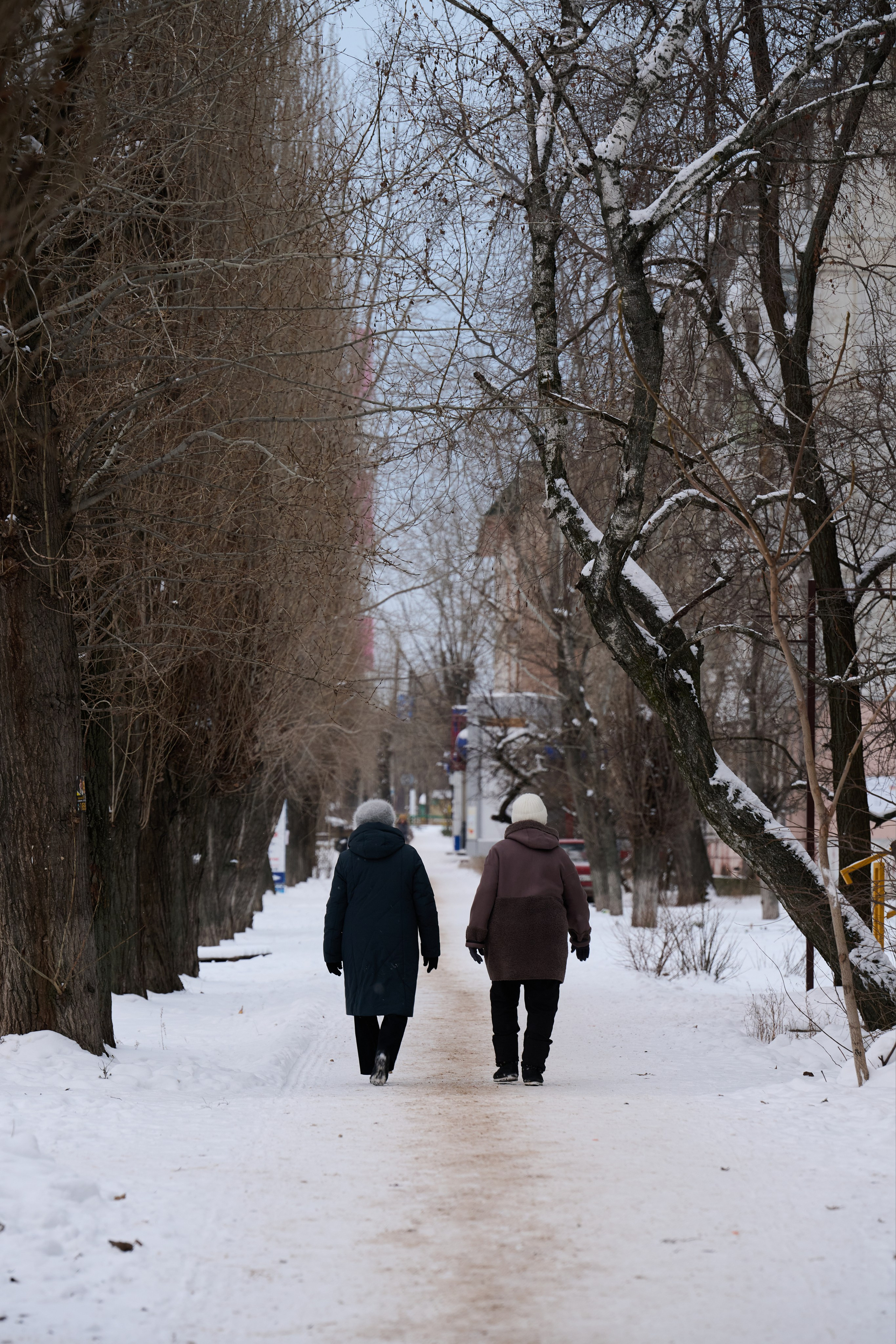 Рубежное. Январь 2026. Фотограф Роман Адлер