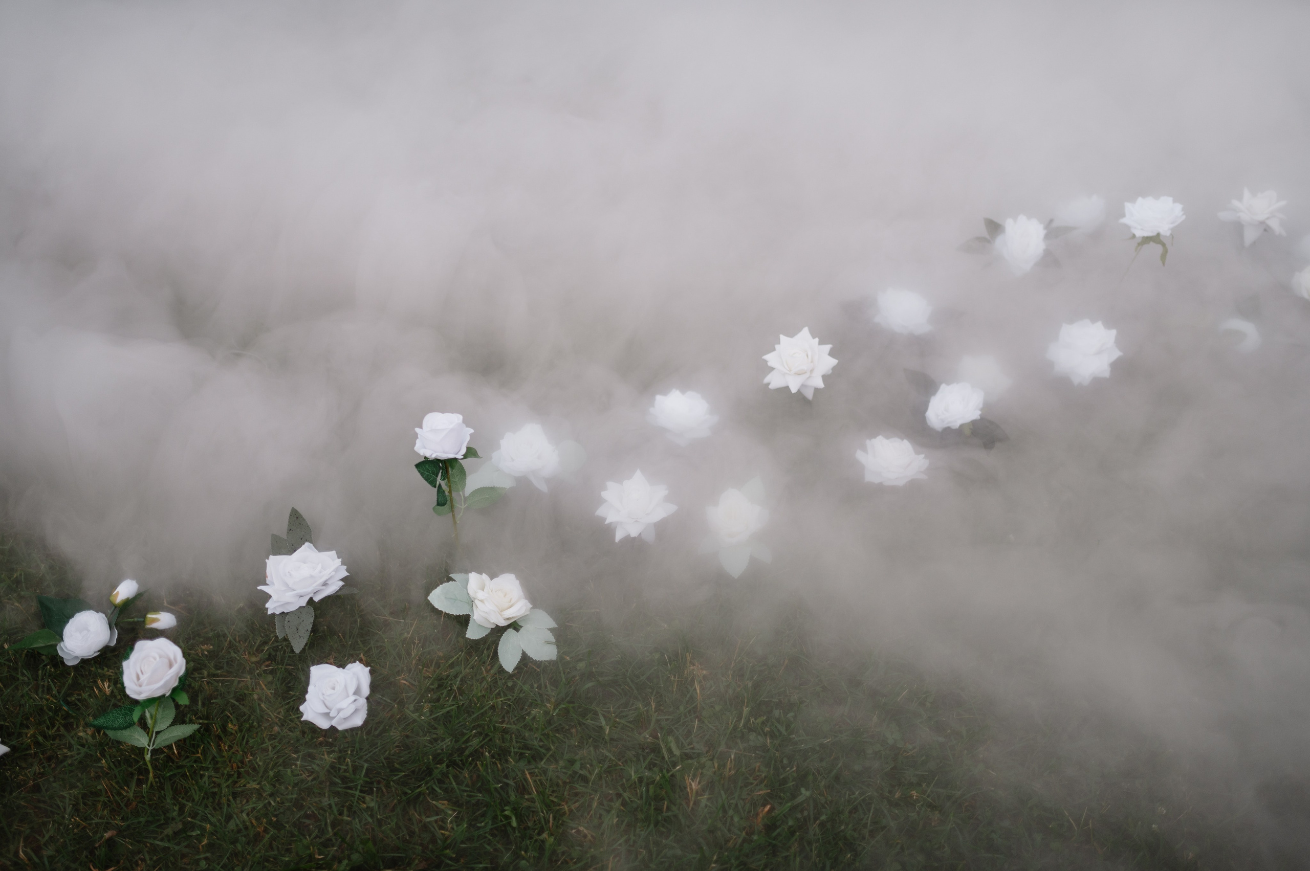 Свадьба Алины и Дани в Санкт-Петербурге. Свадебный и индивидуальный фотограф Никита Роут | Москва