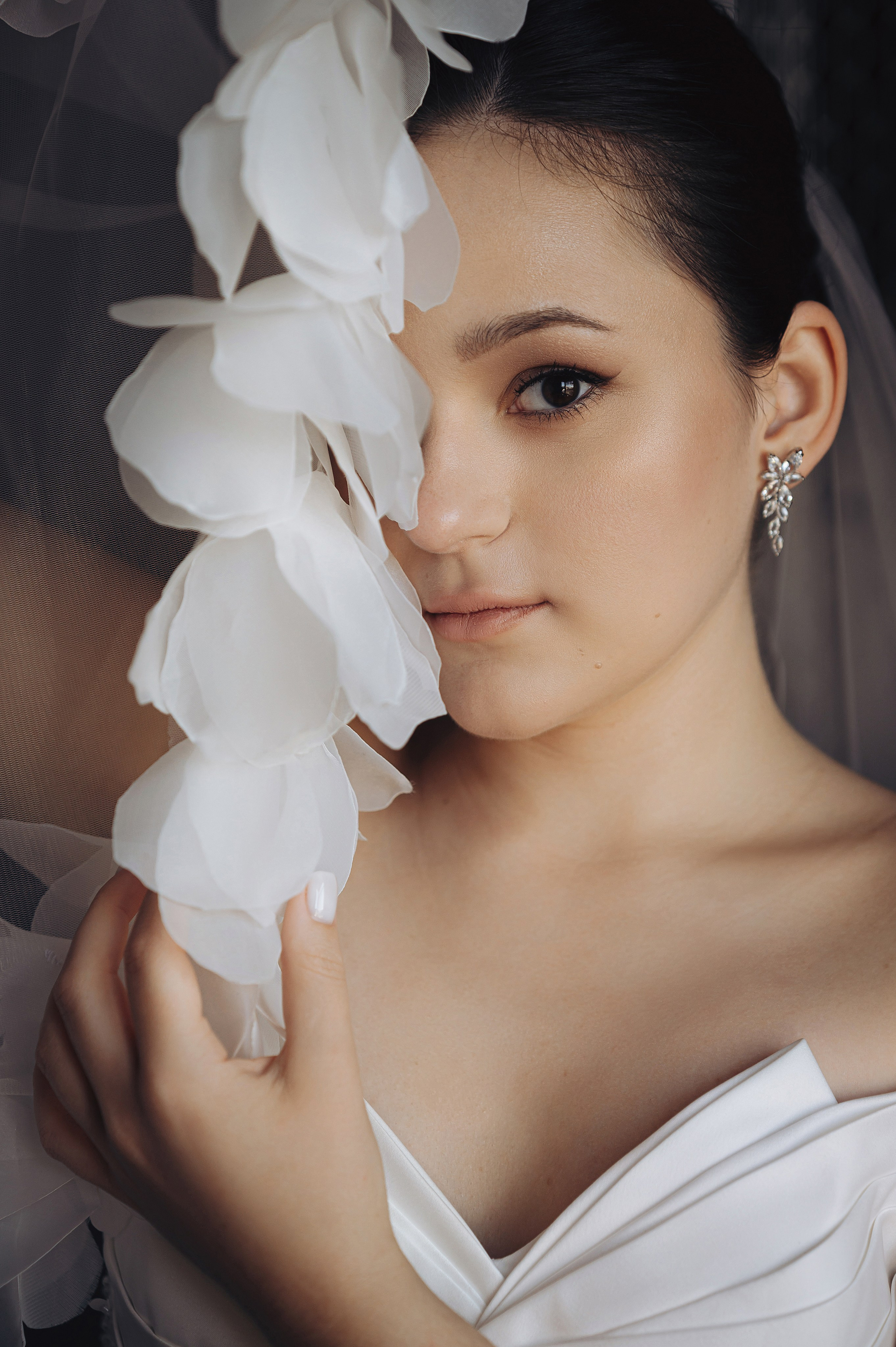 Сборы в отеле Арка