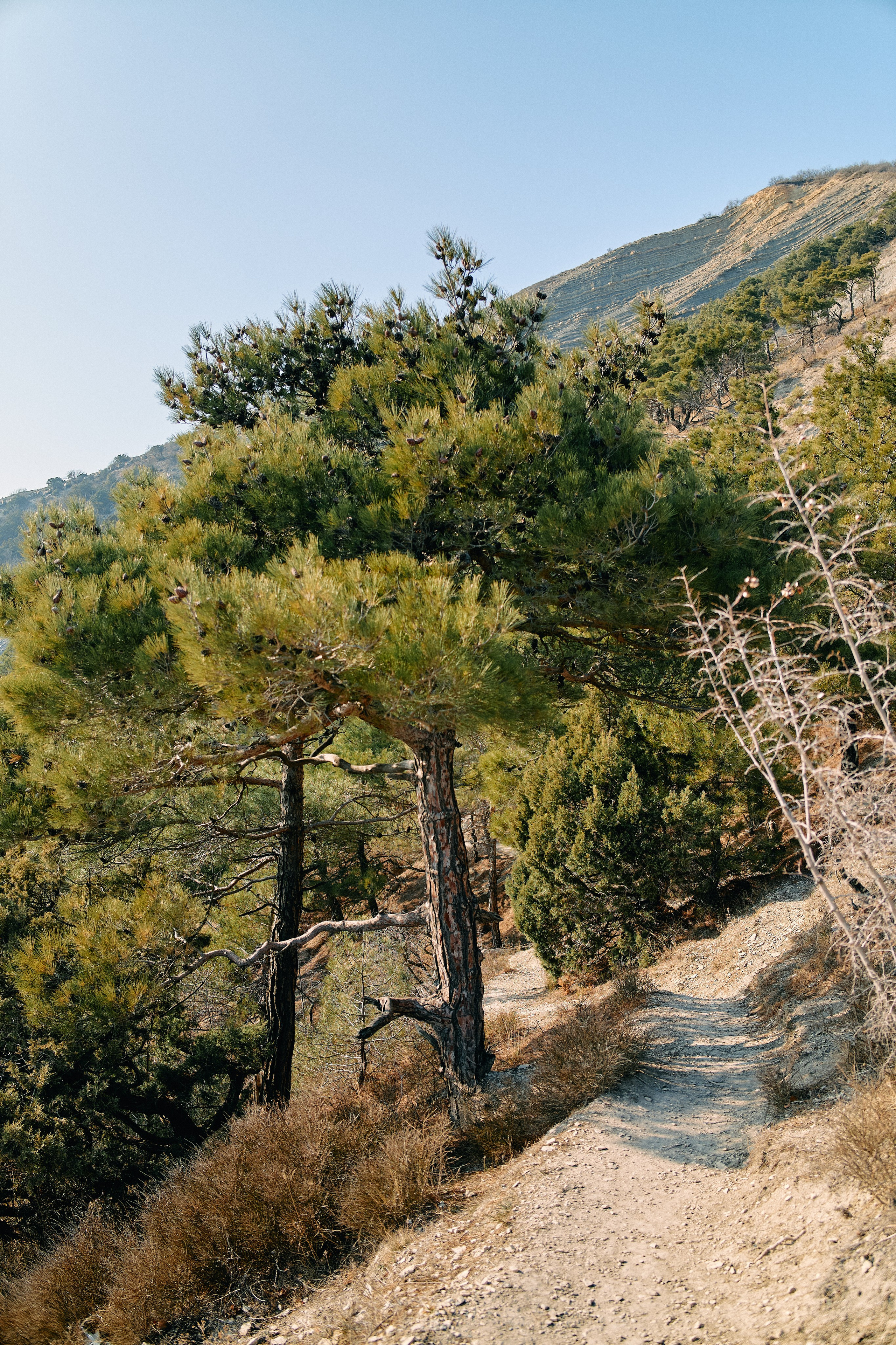 Юг России. Профессиональный Фотограф во Владимире, в Москве и в Суздале — Полина Романычева