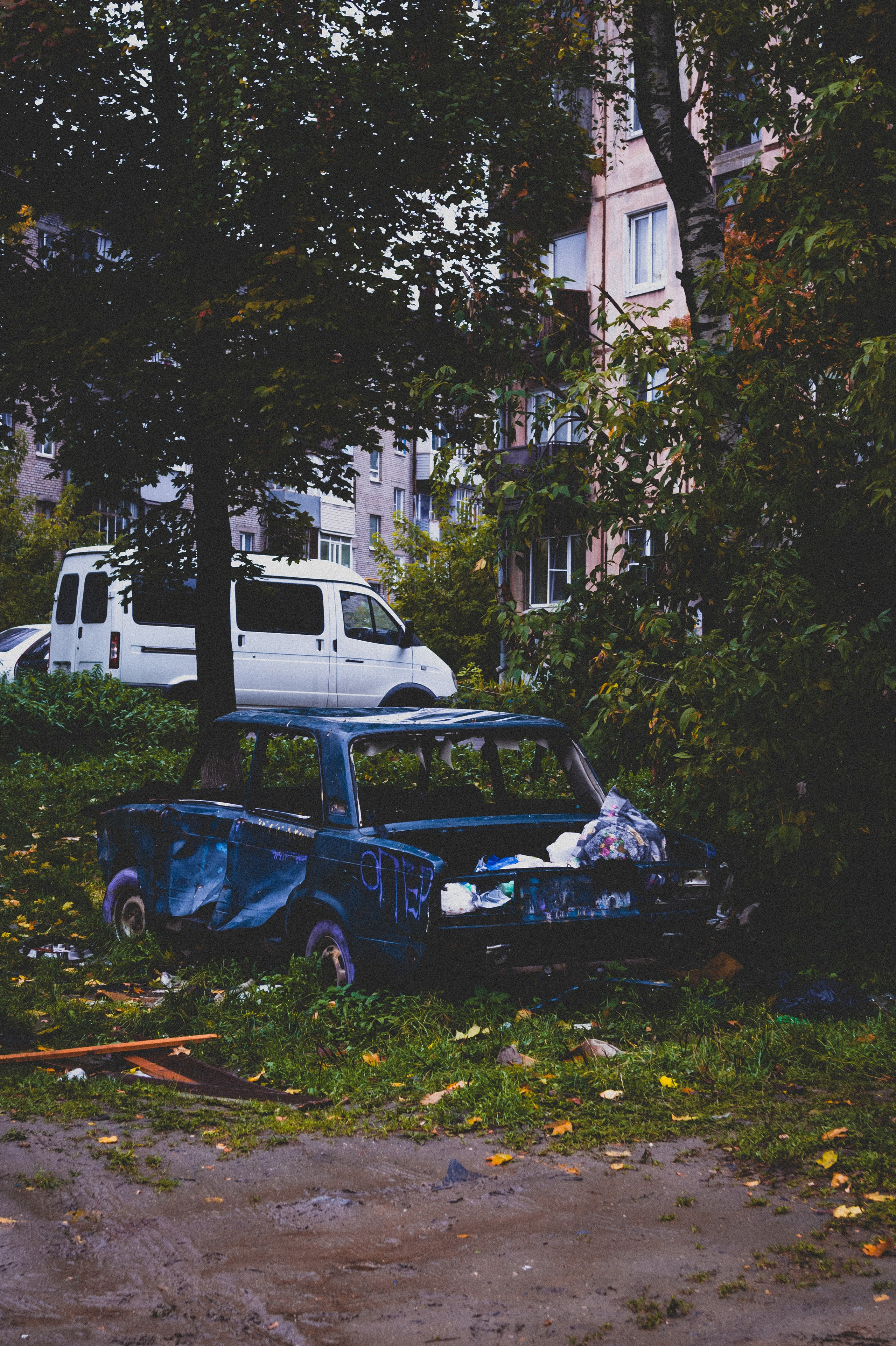 Октябрь 2025. Den Mirov — Фотограф, Музыкант