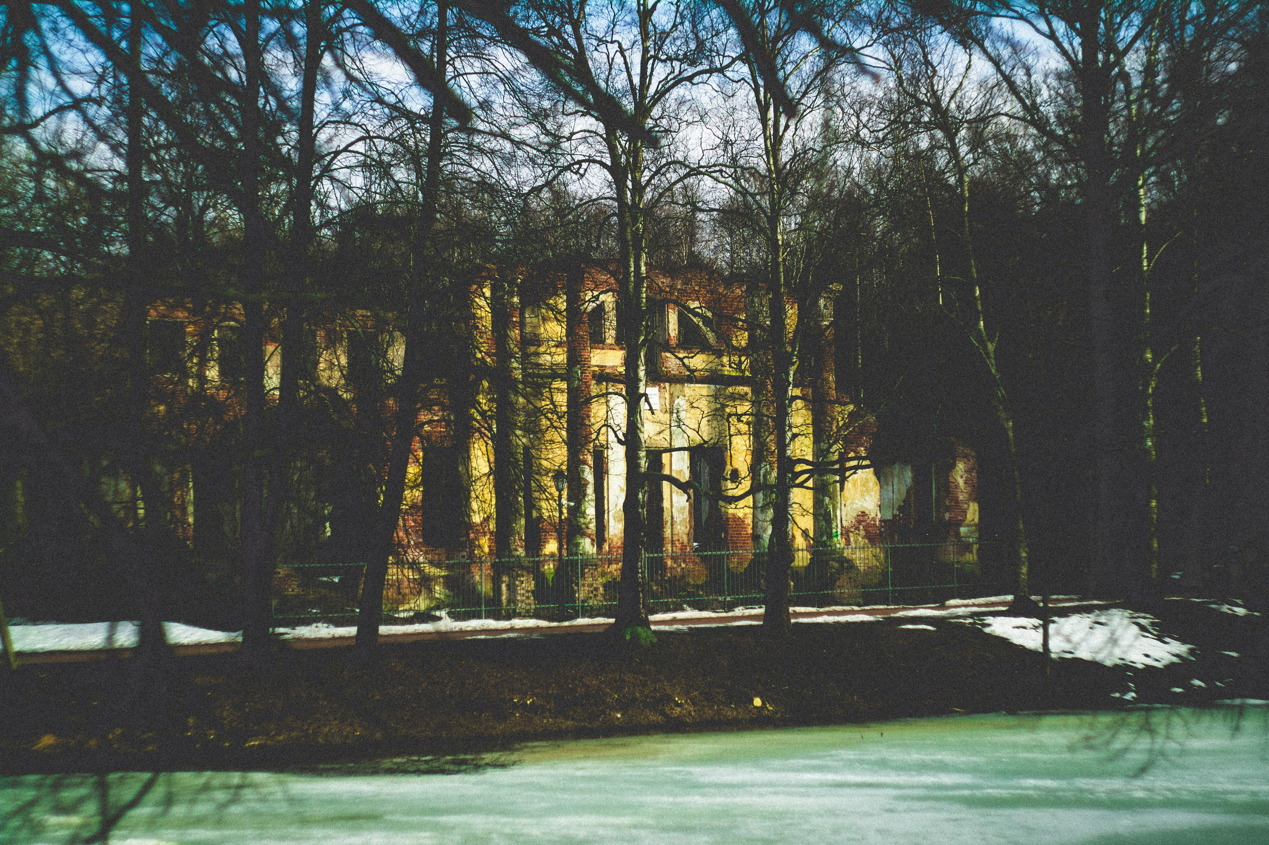 Kingdom. Den Mirov — Photographer, Musician