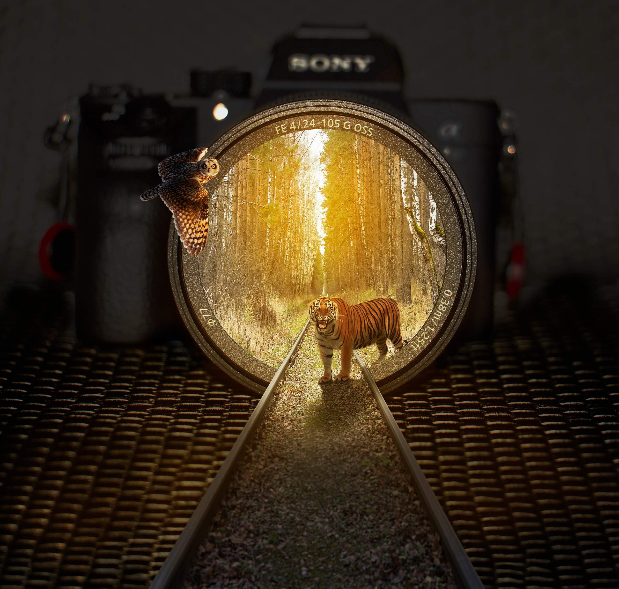 ART. Фотограф в Москве Александр Кутявин