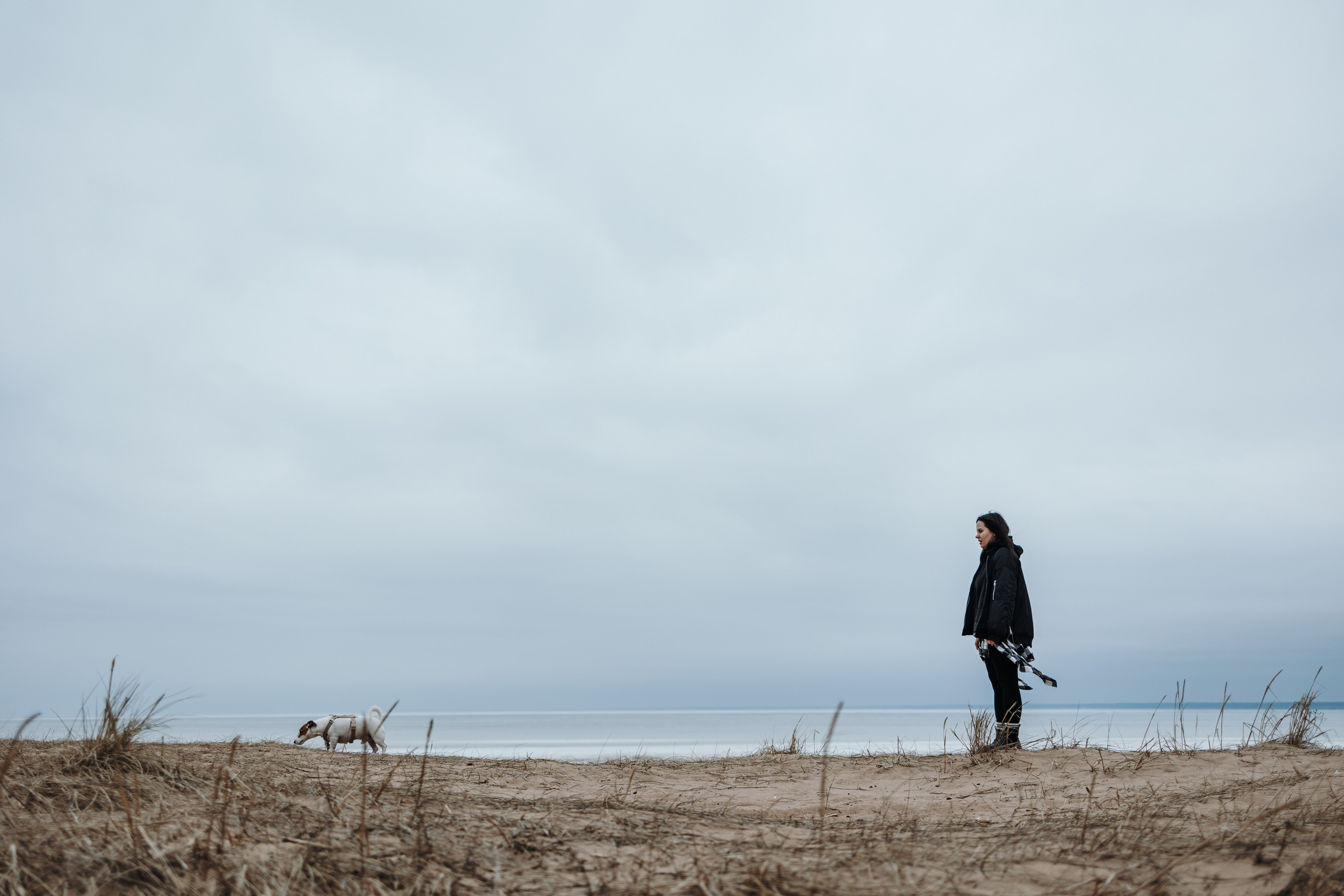 Саша и Джеки. Фотограф — Анималист | Санкт-Петербург