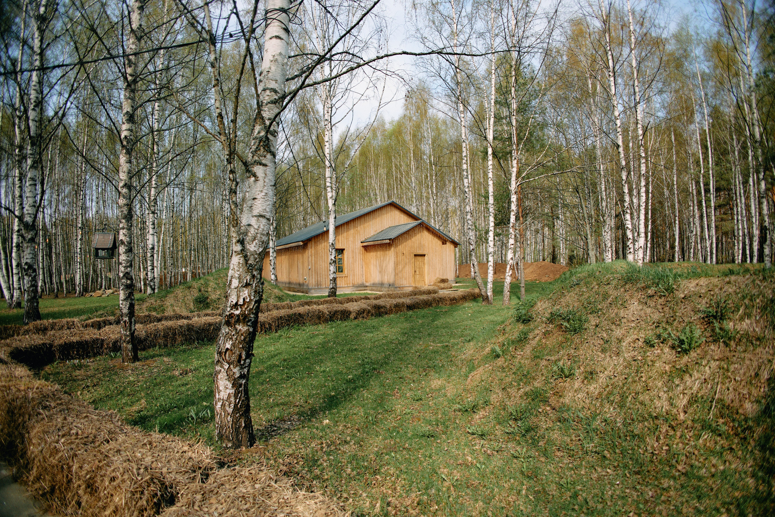 Бутик-отель Поле летом. Профессиональный Фотограф во Владимире, в Москве и в Суздале — Полина Романычева
