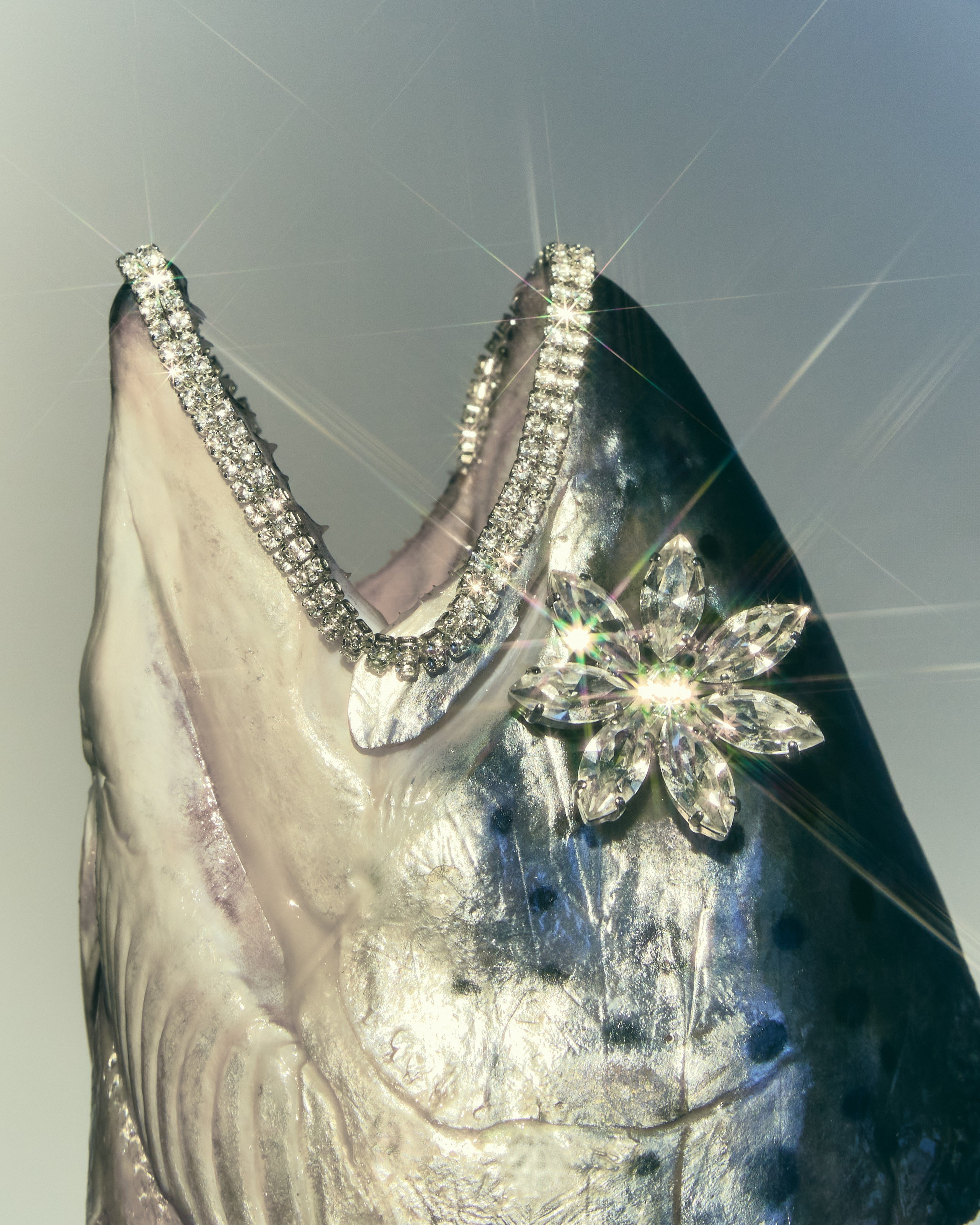 Still Life. Фотограф в Москве Елена Хомякова