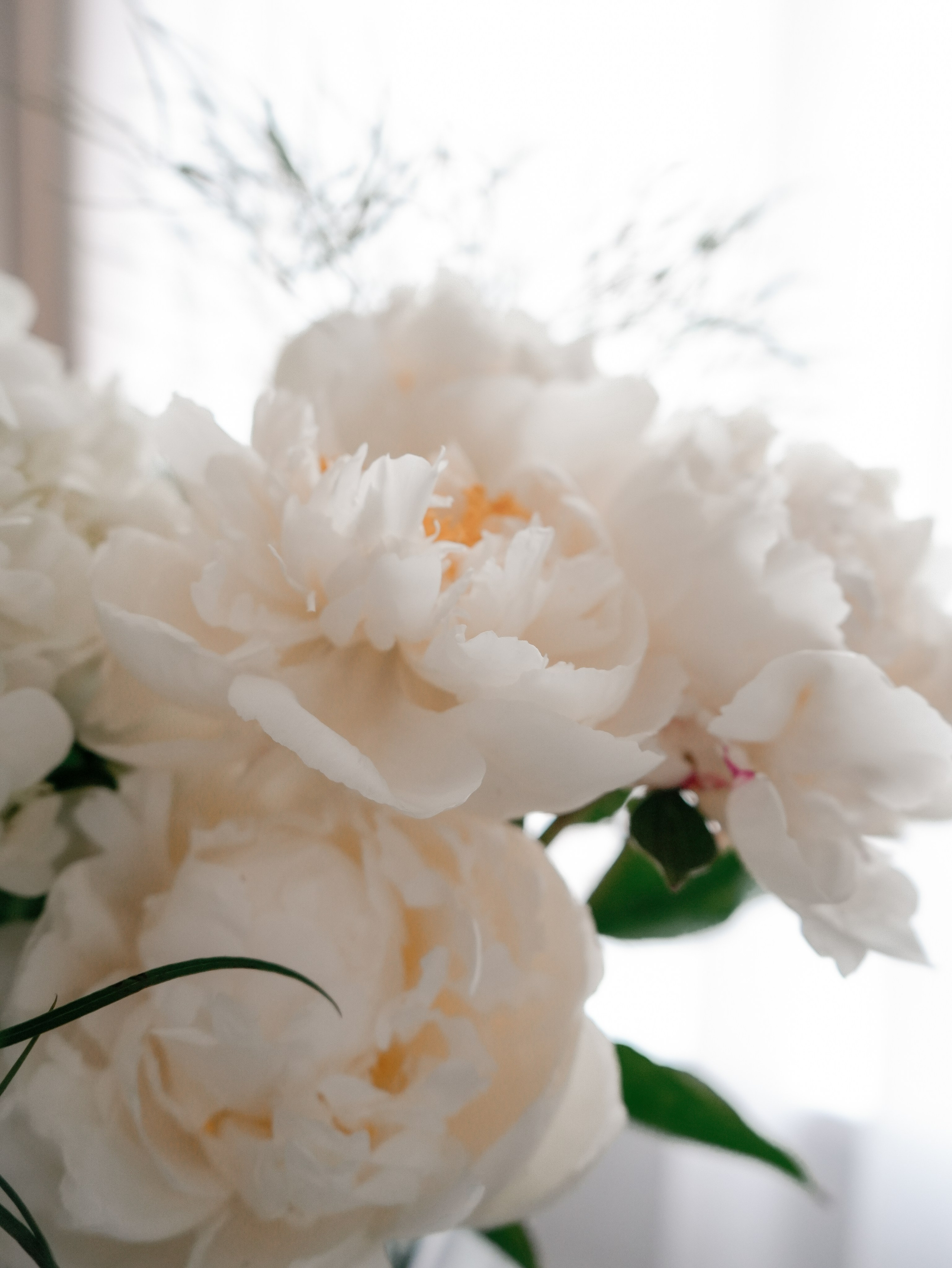 Светлана. Дизайн интерьера. Norikyan Diana