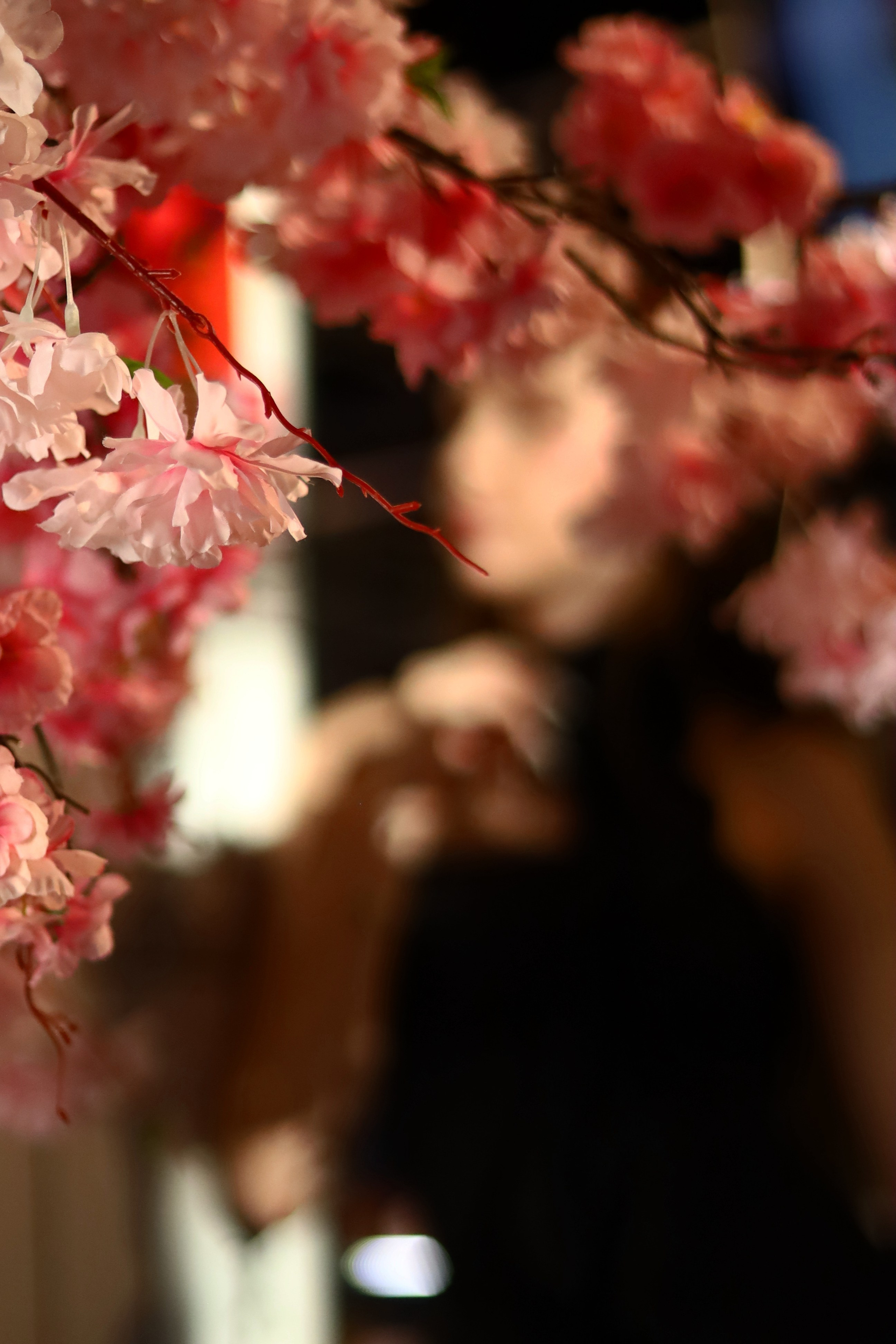 Уличные съемки. Tenny-Tiny Ph