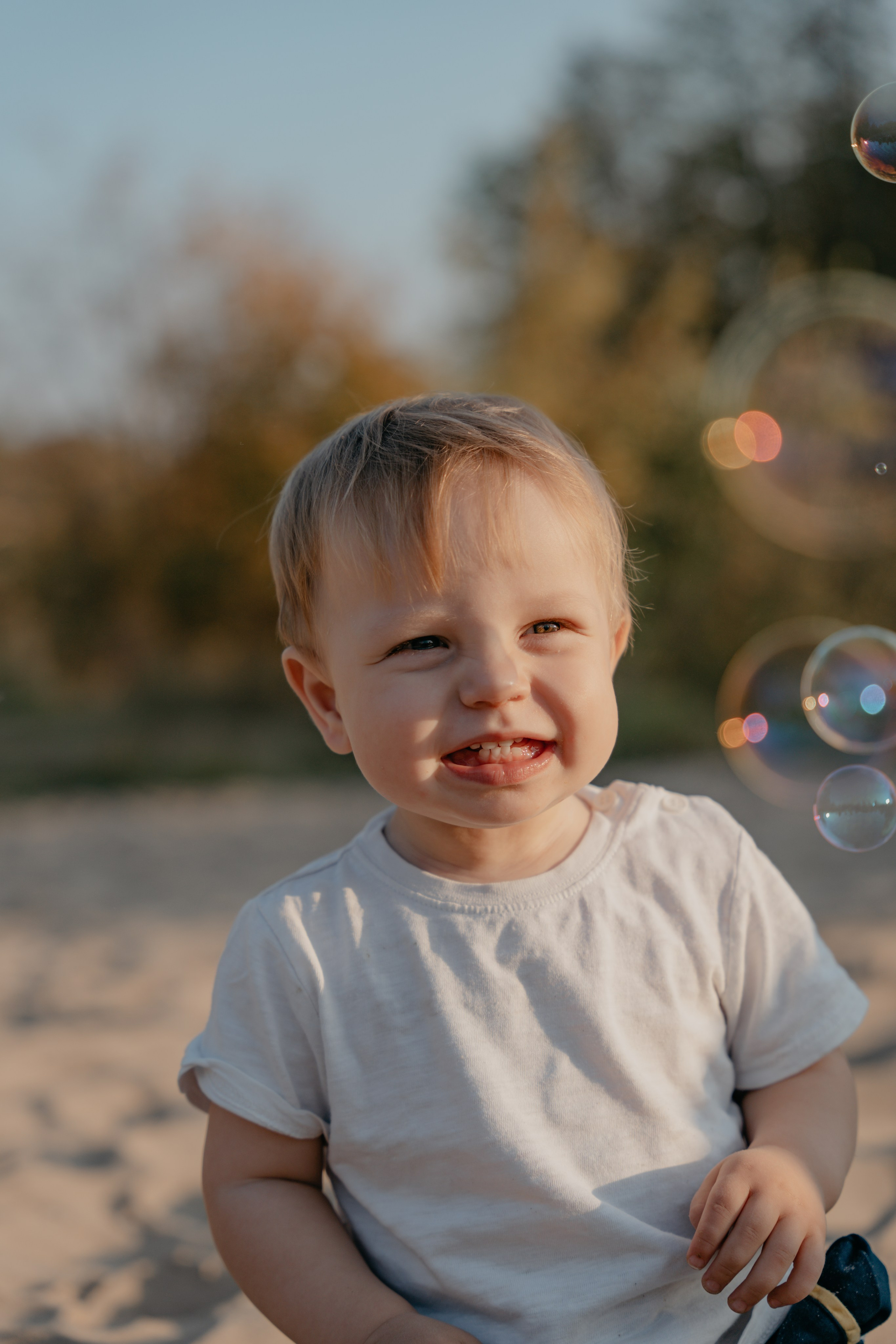 Осенние краски в закате солнца