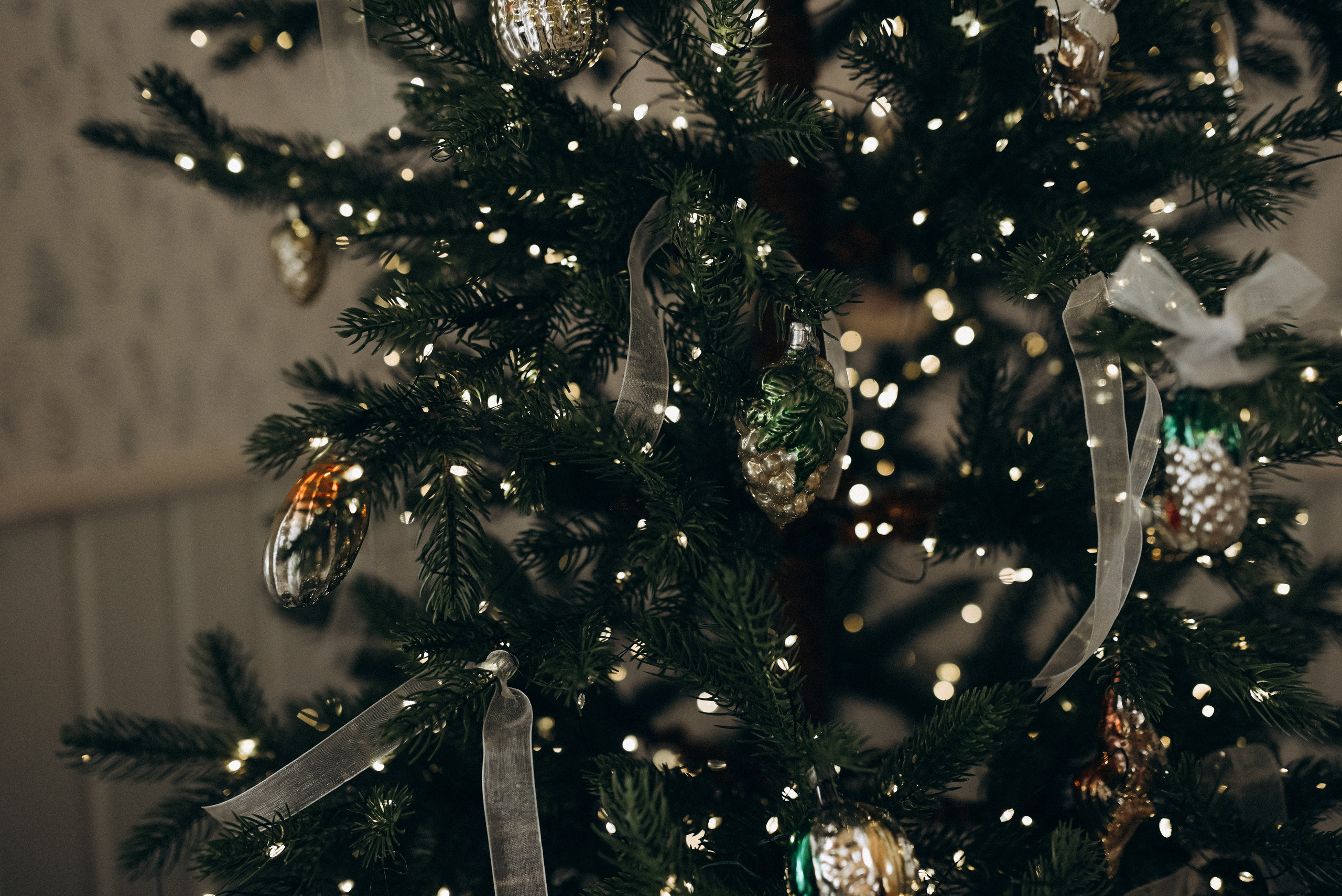 Антон, Маша, Мирон и Корней. Главная