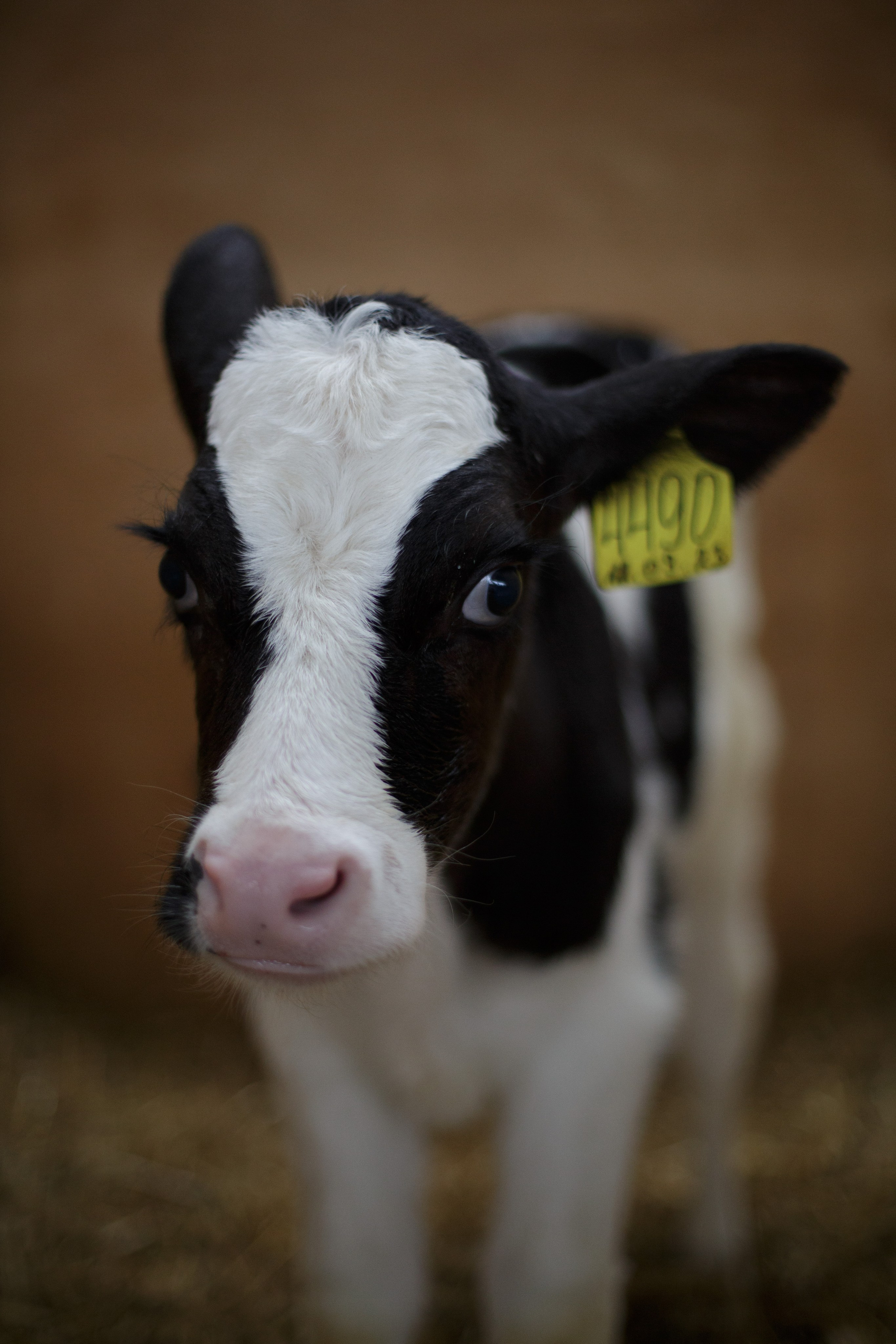 Промышленная фотография. Artur Photography