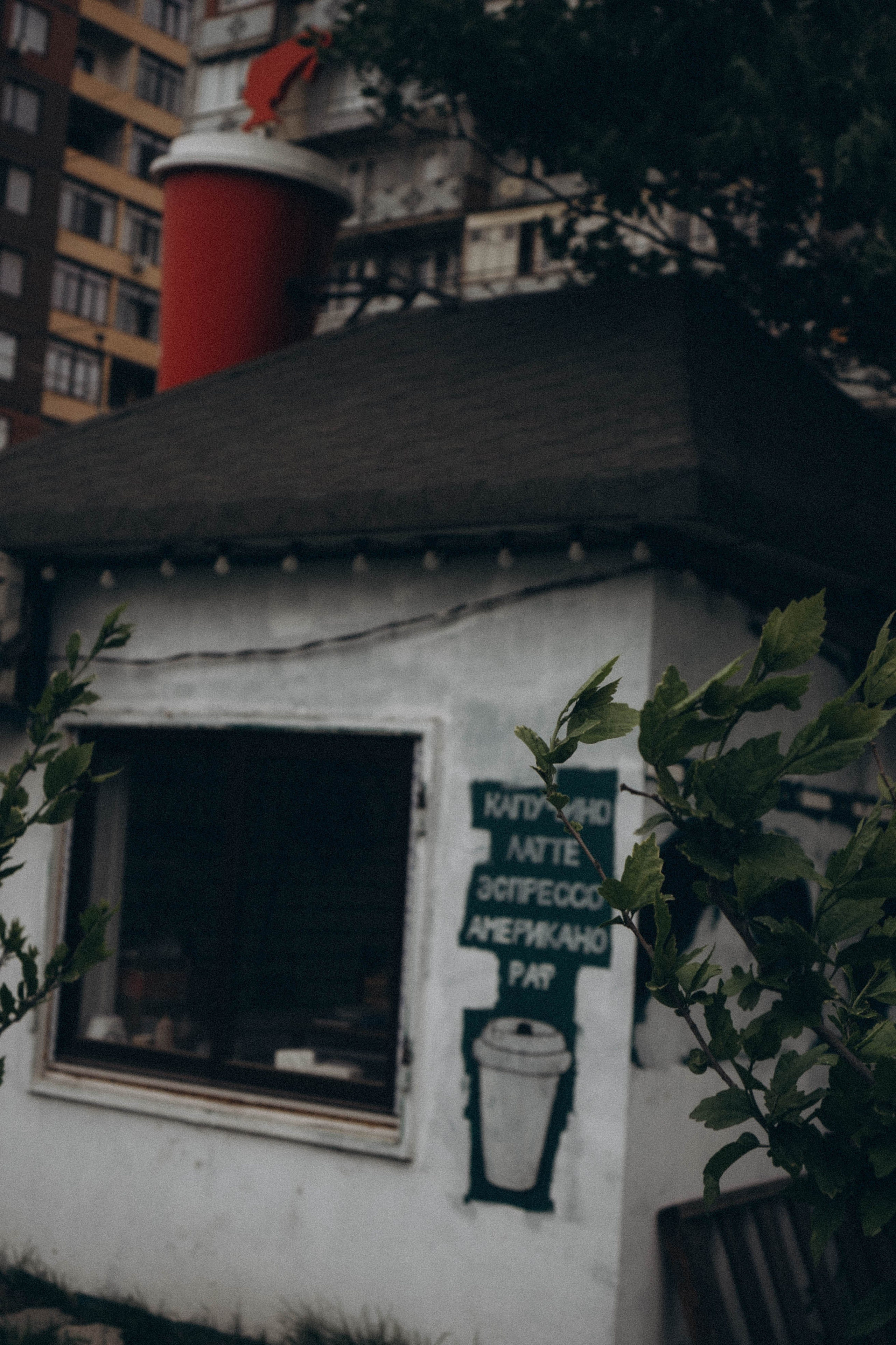 Кавказ. Профессиональный фотограф, Санкт-Петербург — Виктория Богомолова