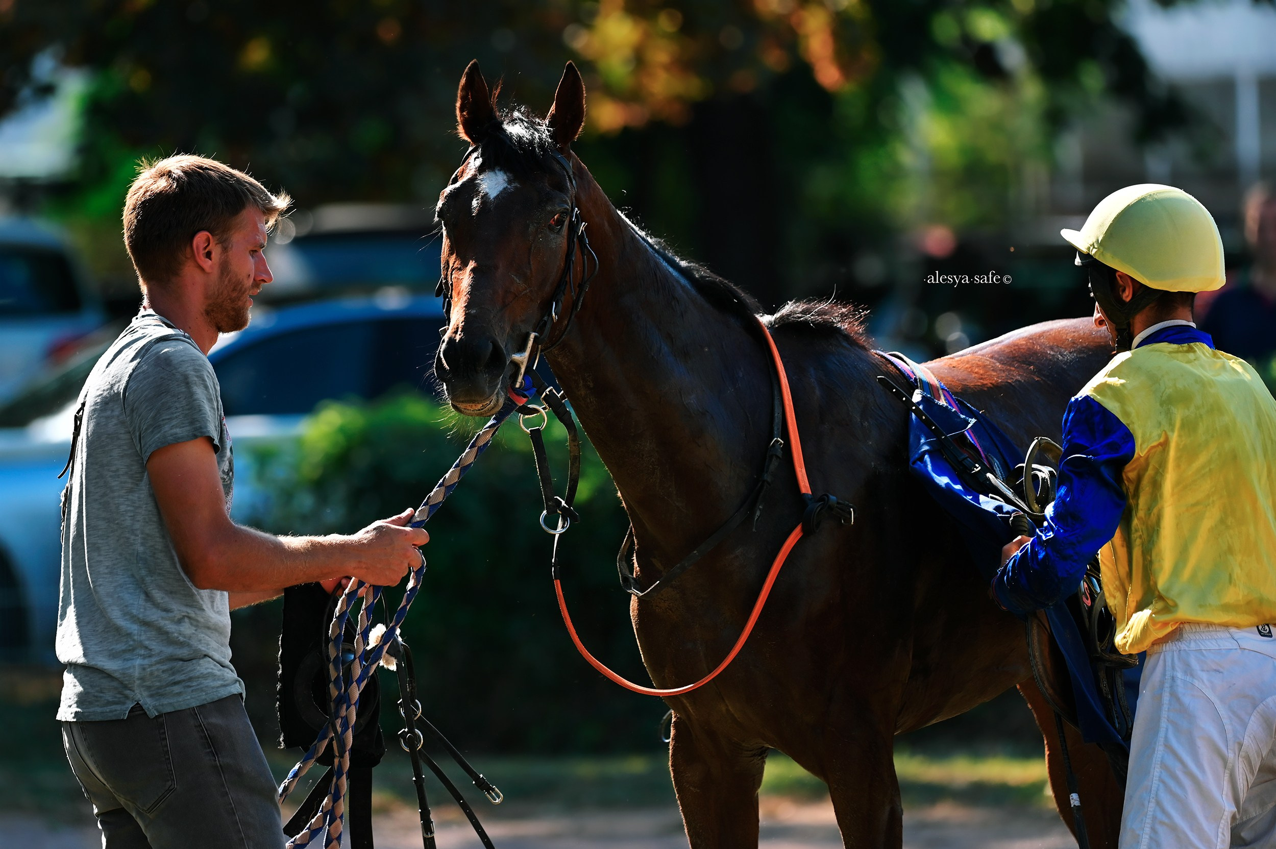 Скачки. Конный фотограф Alesya Safe