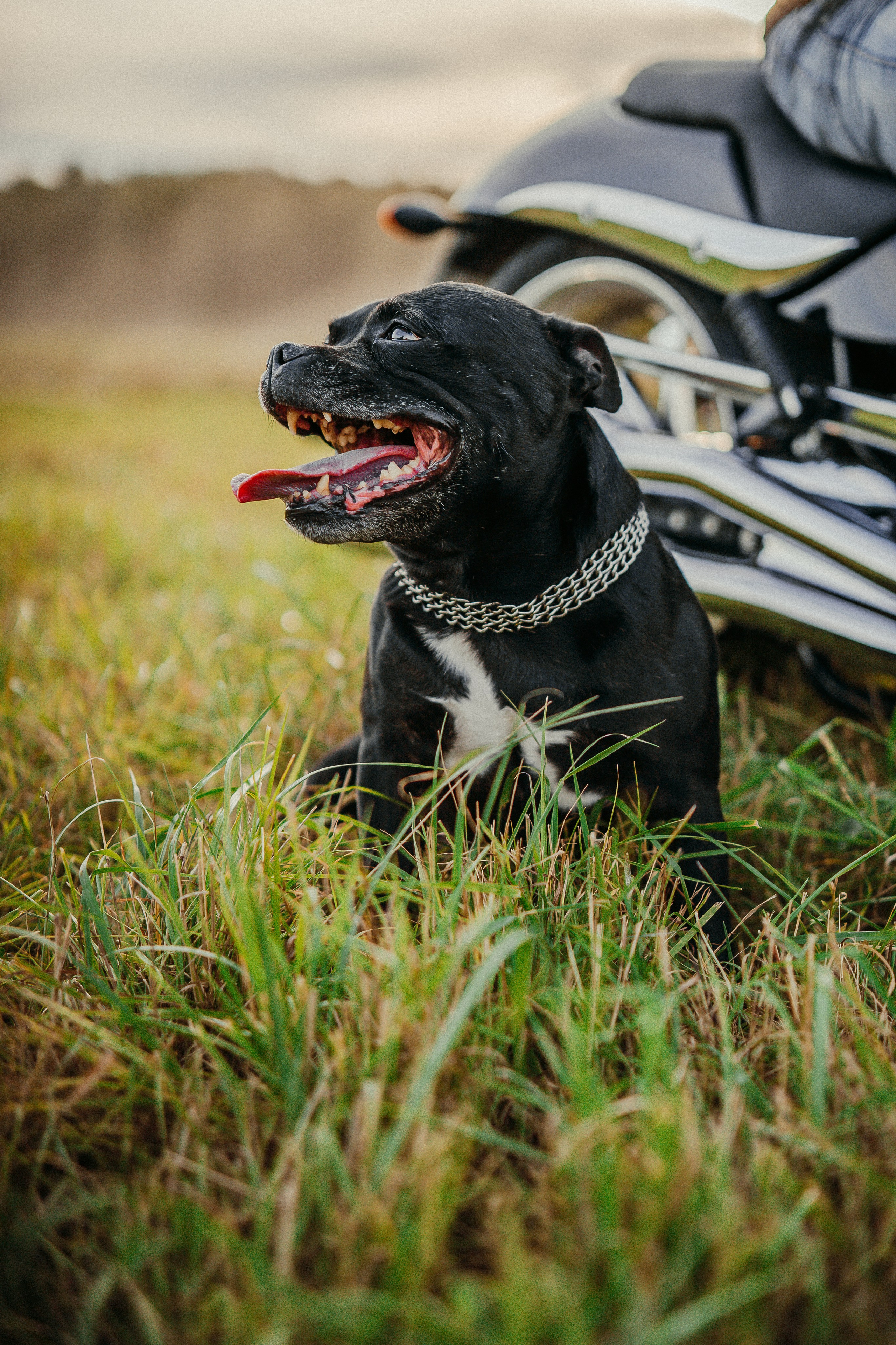 Сентябрь и закат. Marshal-pho. Фотограф Иван Маршалкин в Москве, Подольске и МО