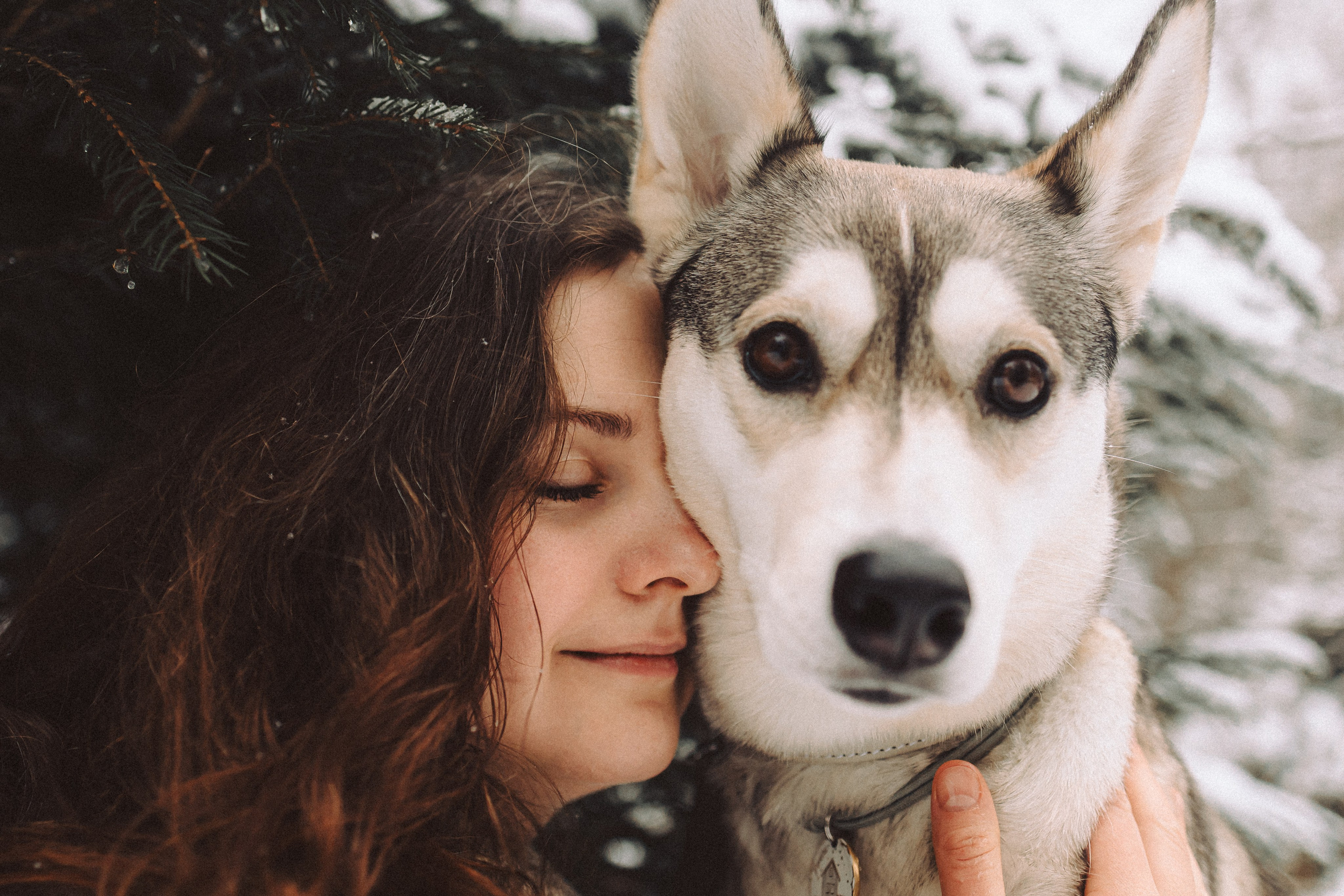 Аня и Рокси