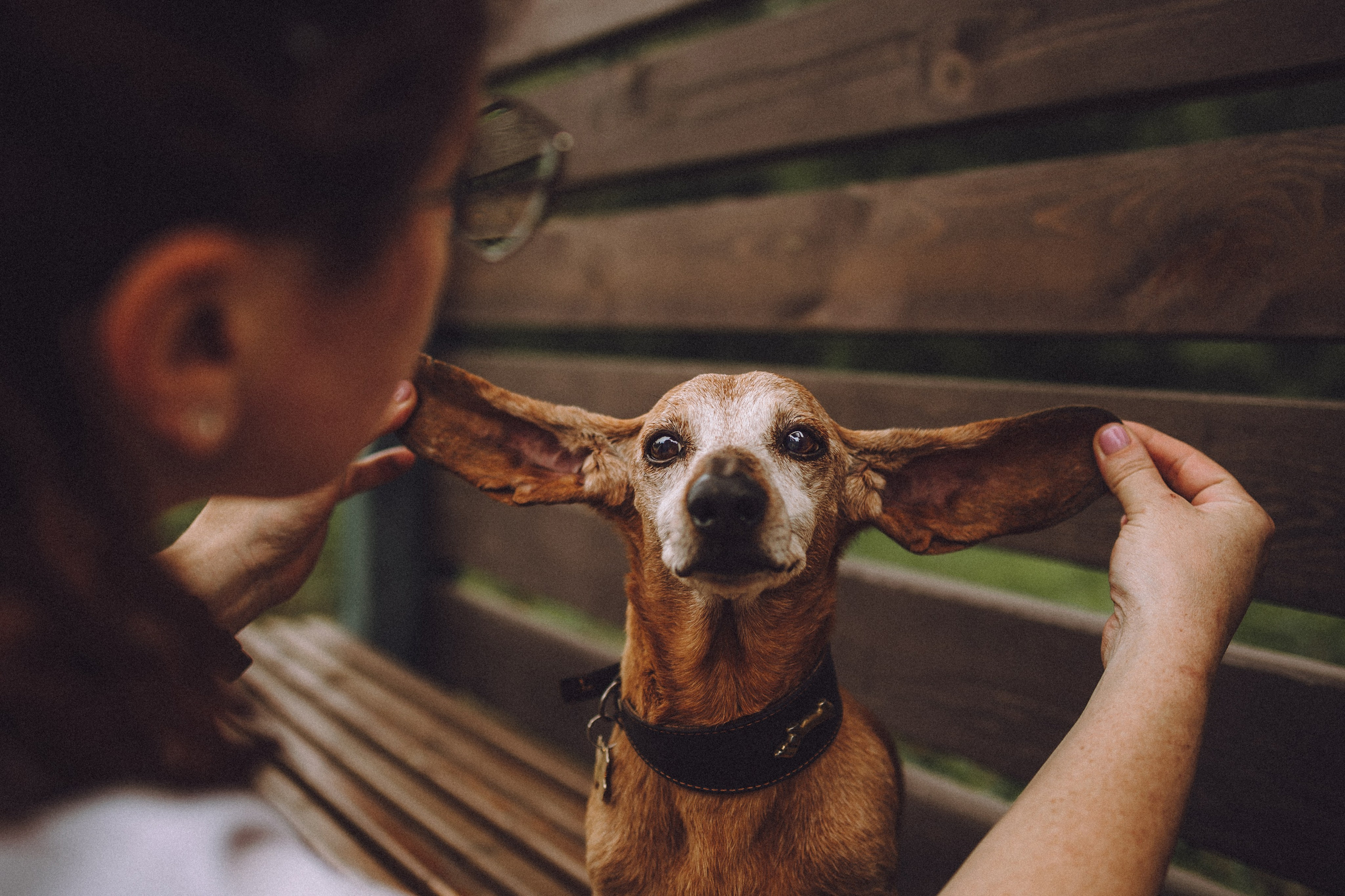 Груша, Данни, Фунтик и их семья