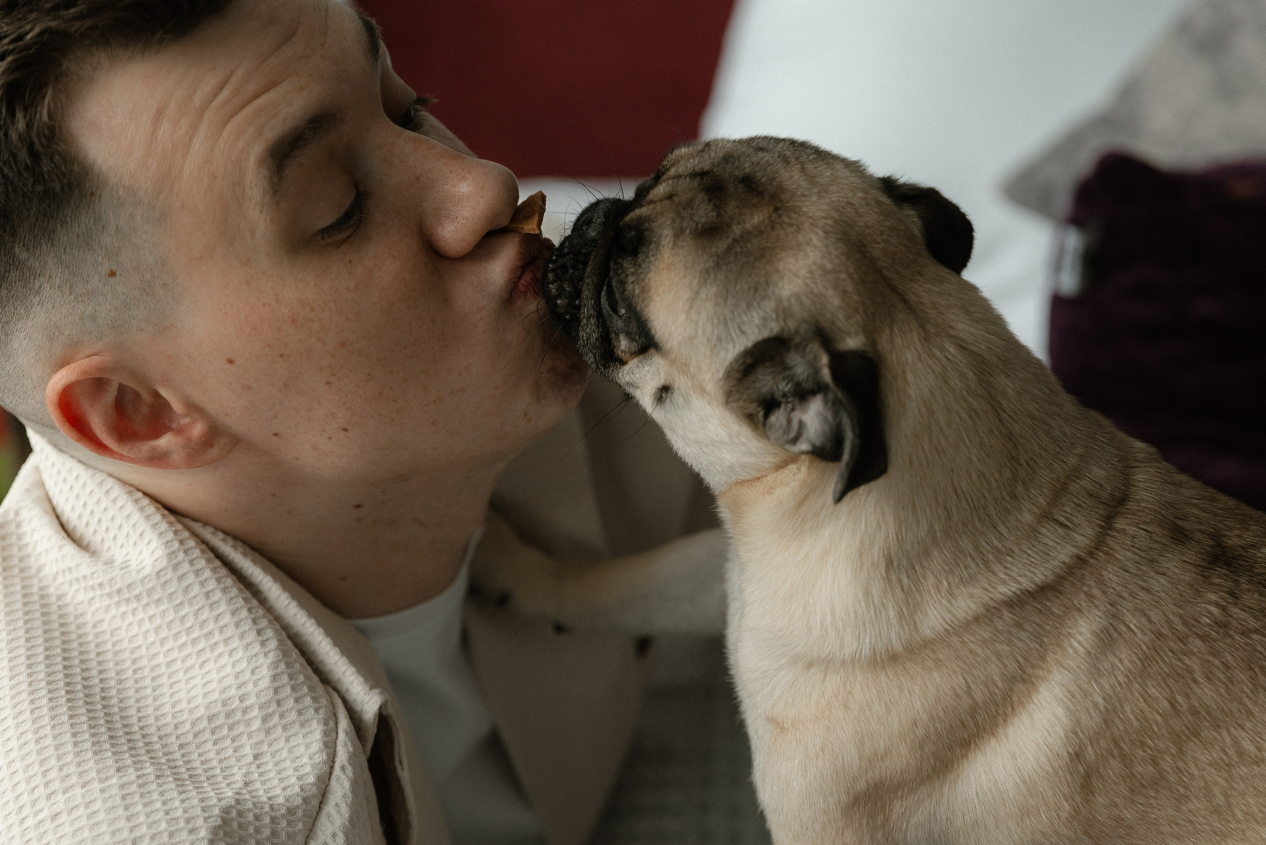 Мы и Федя. Свадебный фотограф Ярославль, Рыбинск