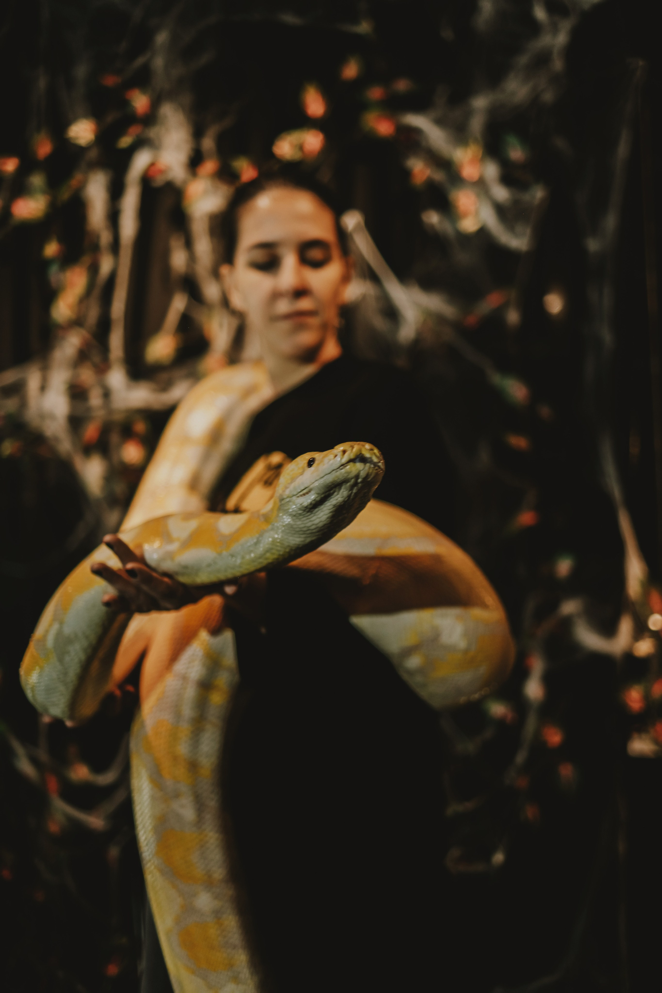 Дом Драконов. Nattie.ph