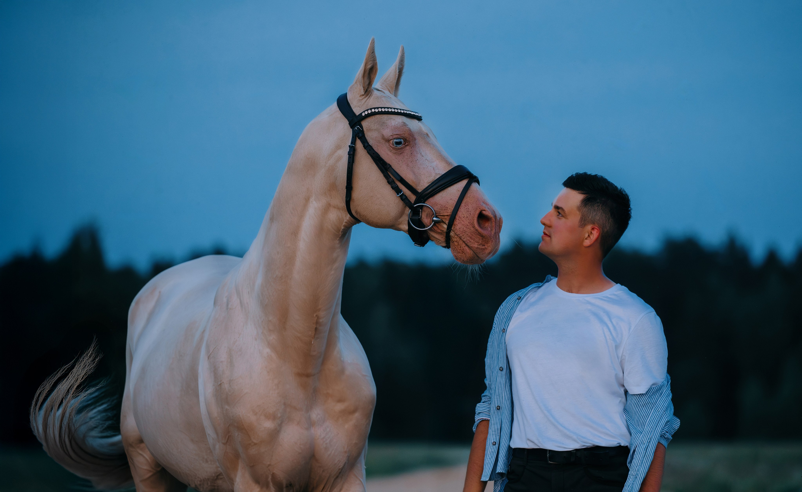 Кирилл и Перигей. Фотограф-анималист Ксендзова Кристина