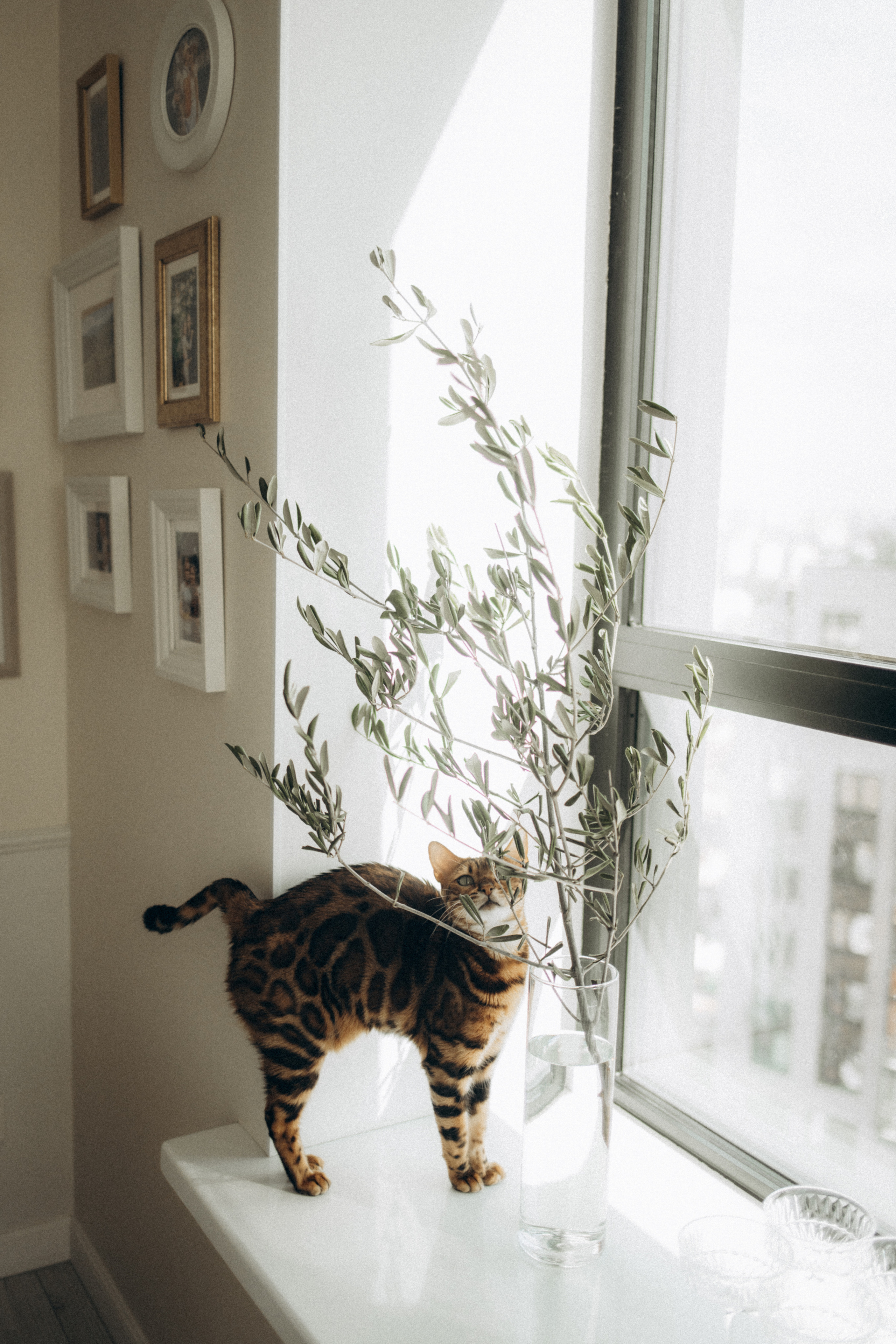 Brunch is. 13.08.2022. Семейный, портретный и свадебный фотограф в Москве и Одинцово Лощинина Мария