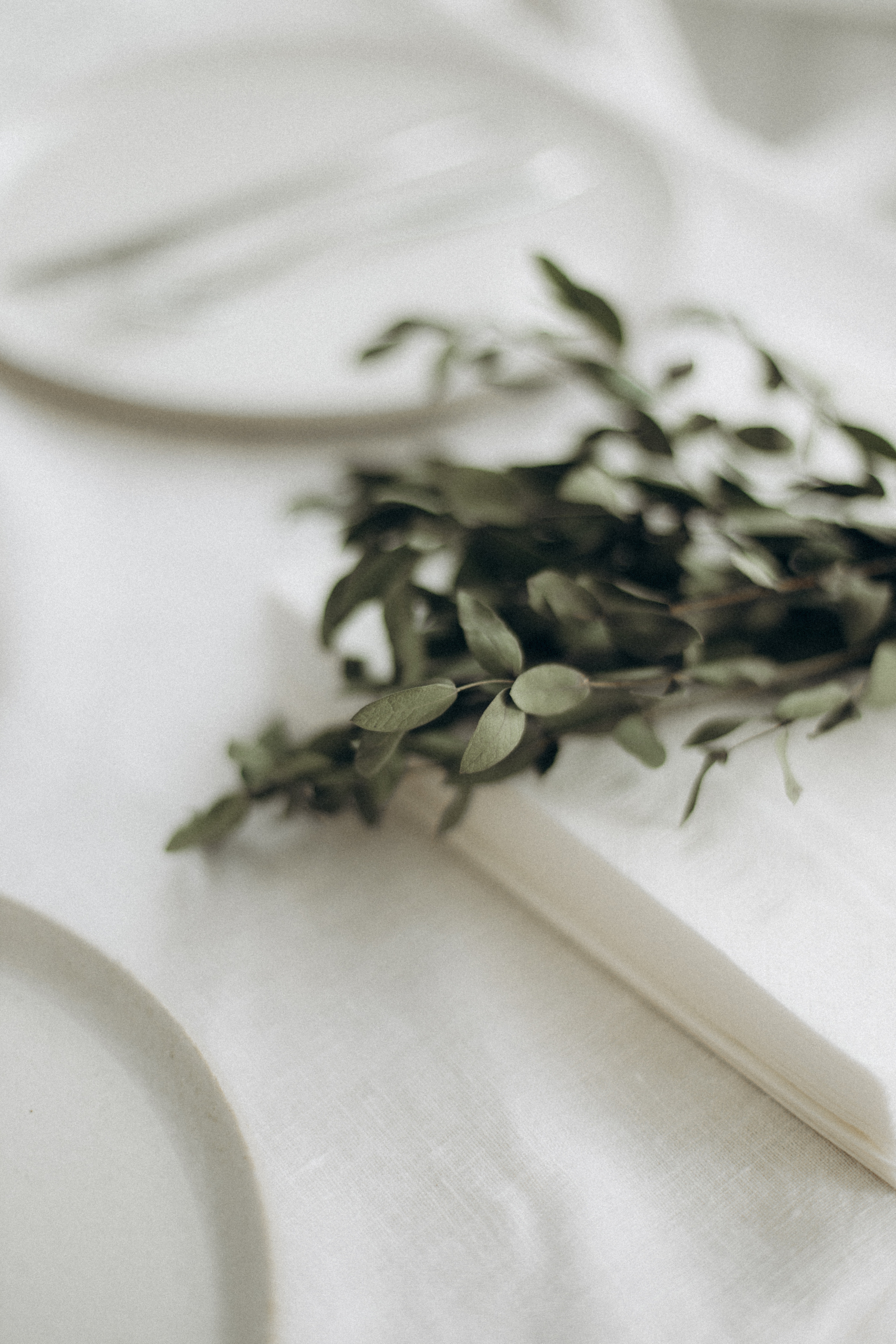 Brunch is. 13.08.2022. Семейный, портретный и свадебный фотограф в Москве и Одинцово Лощинина Мария