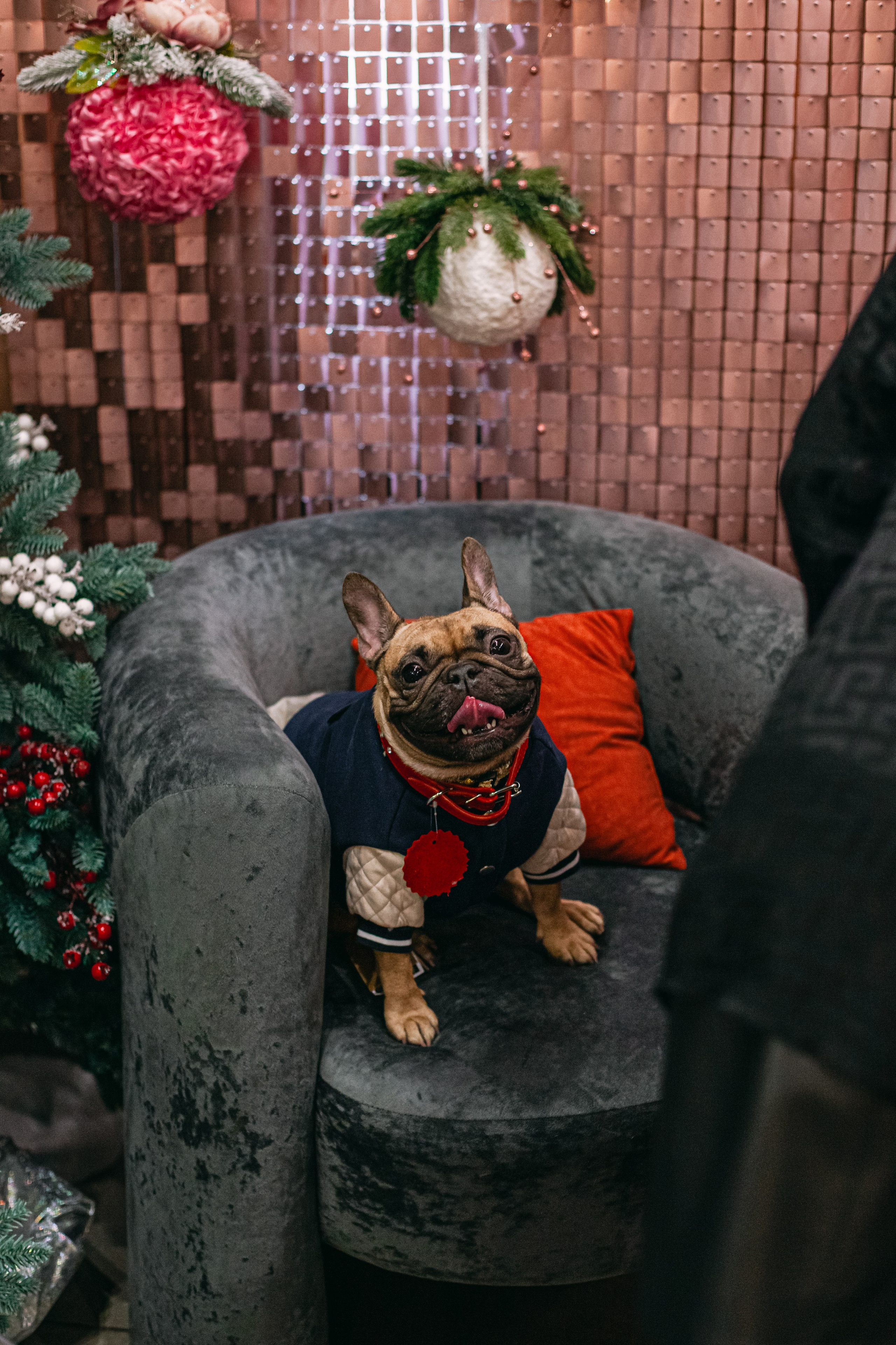 Бульёлка 2024. Фотограф-анималист Татьяна Степанова