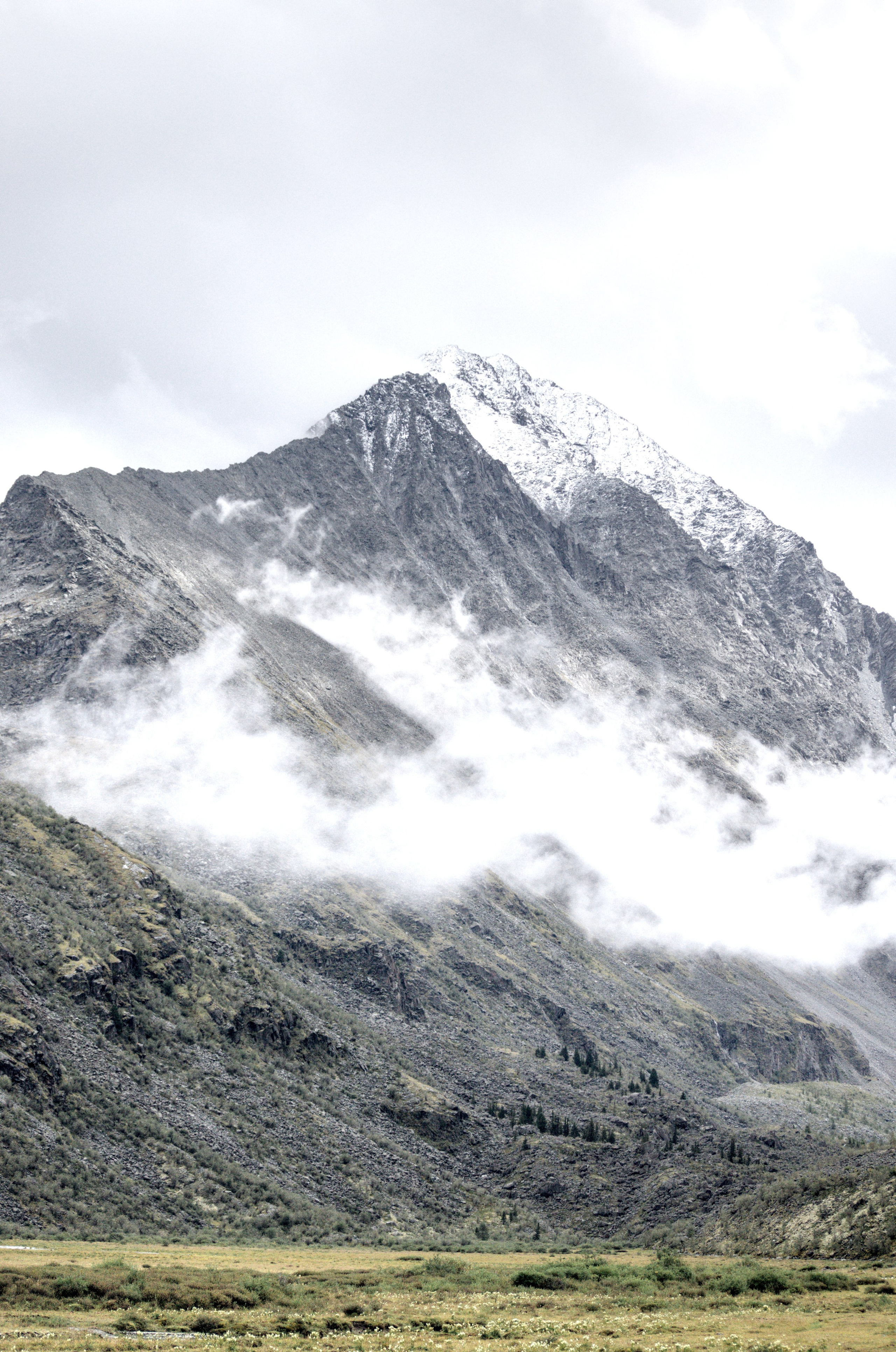 Алтай. Фотограф анималист, пейзажист, спортивные мероприятия. Новосибирск