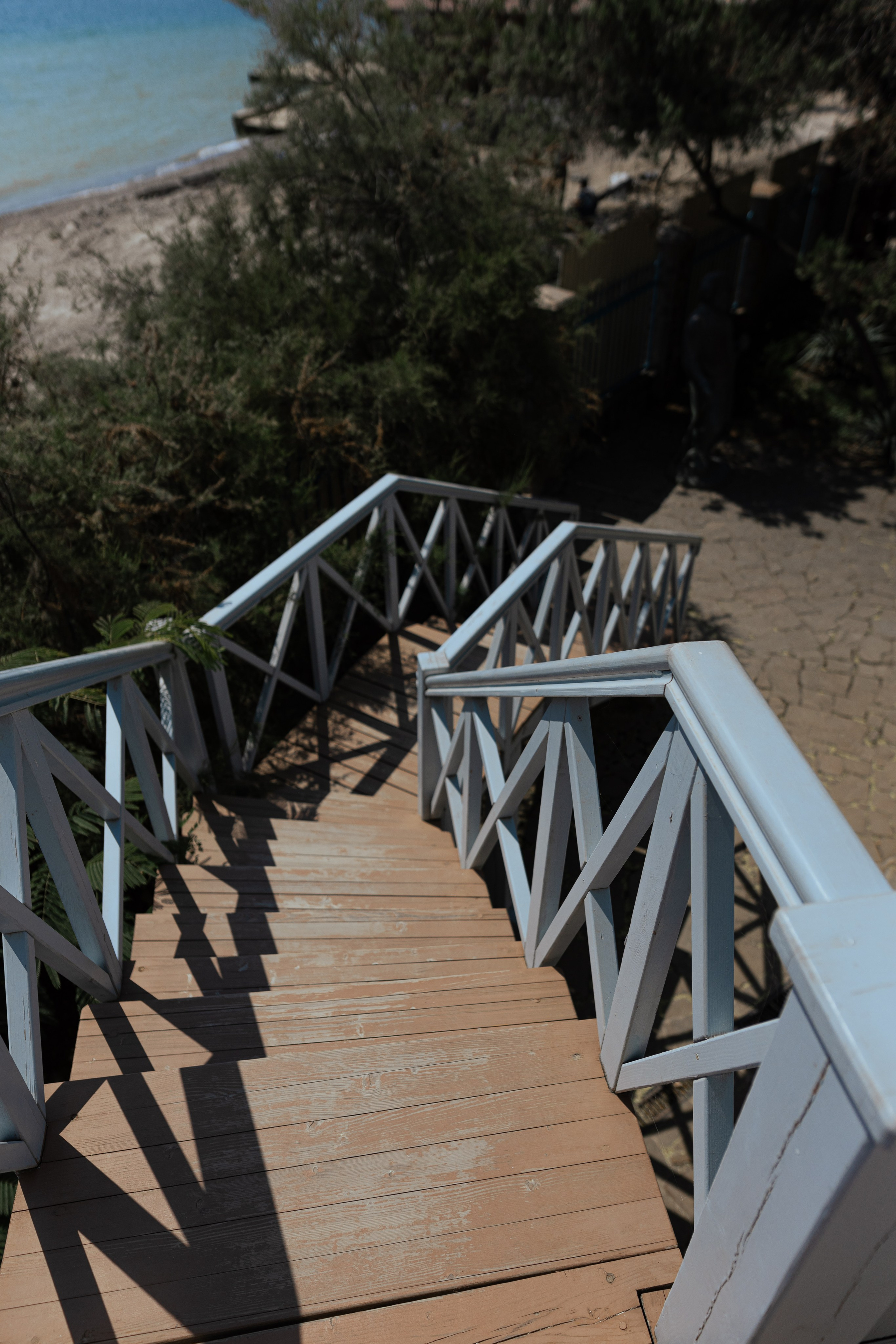 Дом-музей М. А. Волошина. Евгения Волошина Фотограф Москва / Белгород