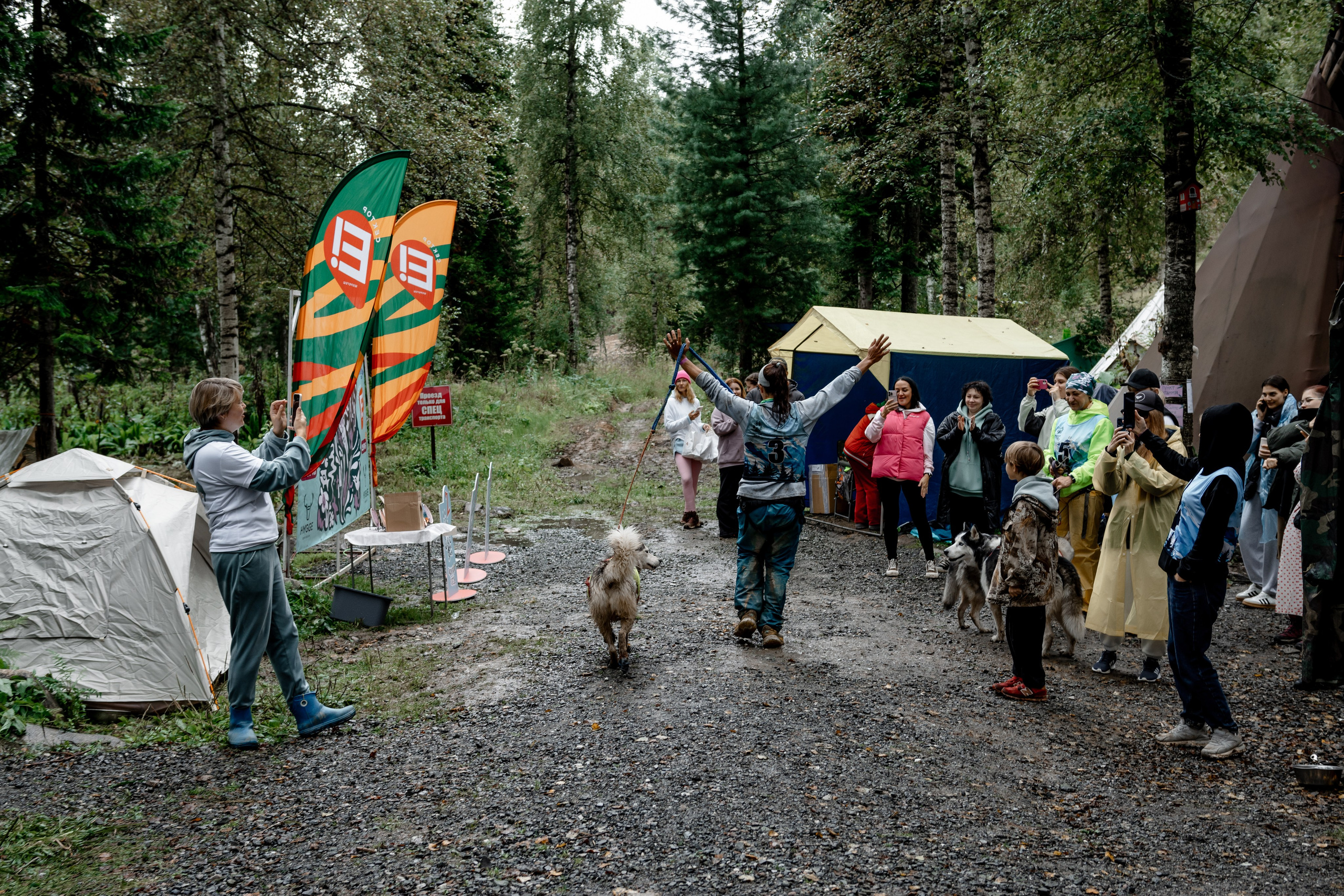 Дог-треккинг