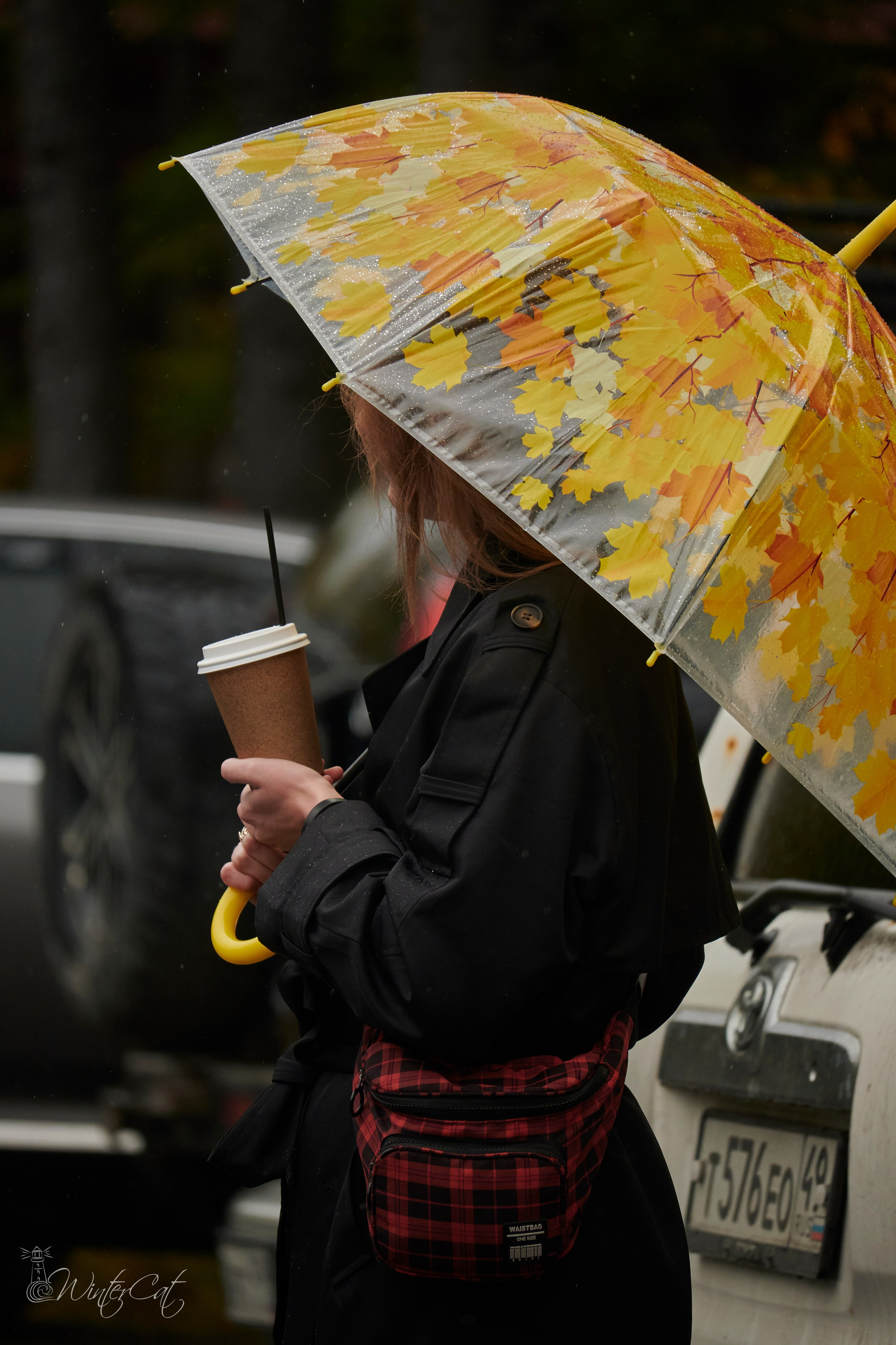 Закрытие сезона Полярные совы-Штрафбат 09.2024. Портретный и репортажный фотограф в Магадане Андрей Нефедов WinterCatPhoto