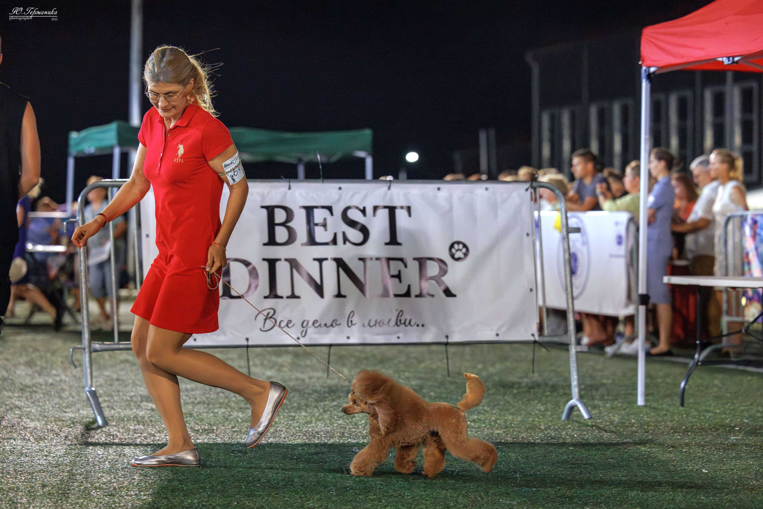 Калининград 25-27.07 Волгоград 1-3.08 2025. Фотограф-анималист Юлия Германика