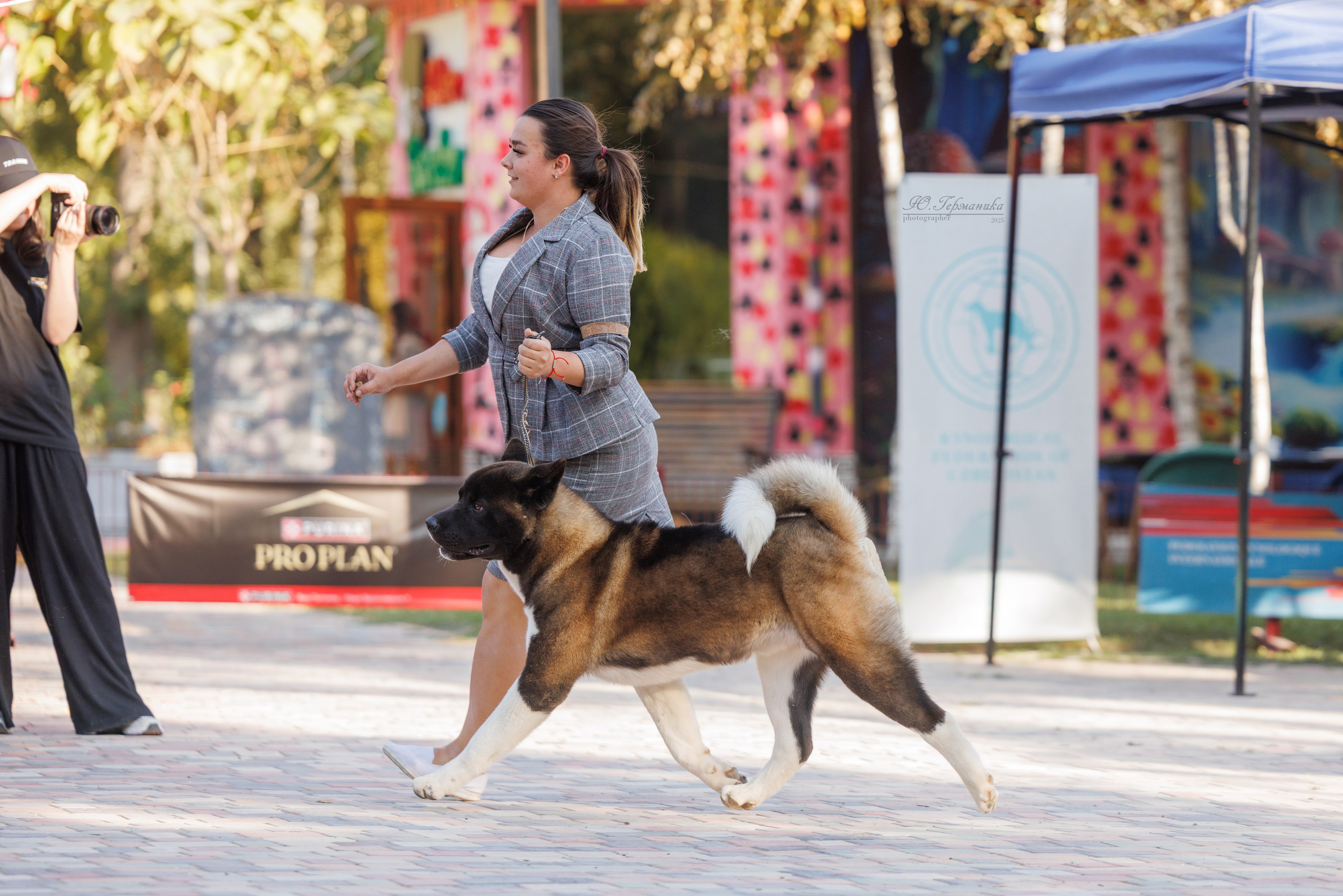 Телави 11-12.10.2025. Фотограф-анималист Юлия Германика