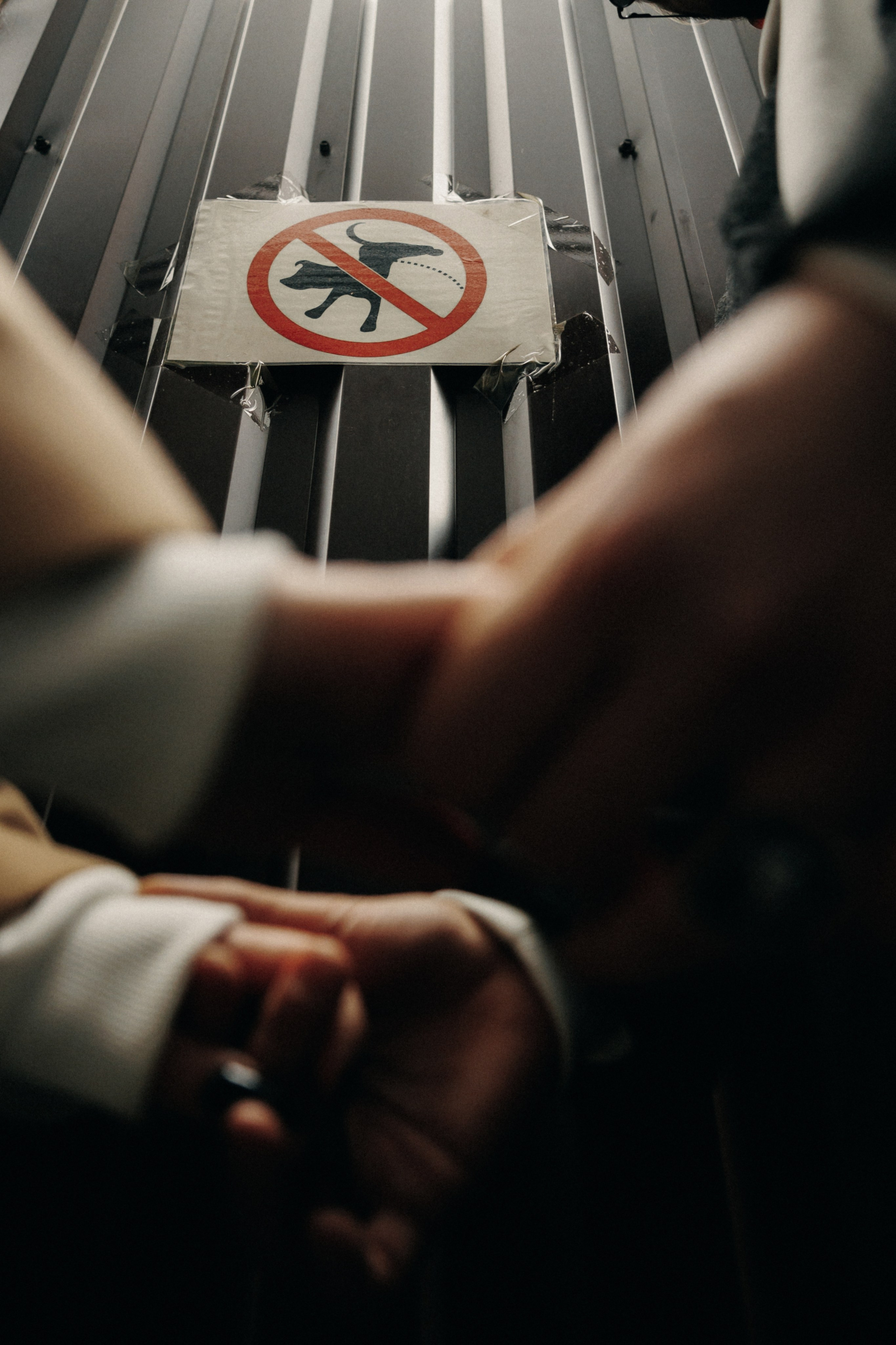 Паша и Вика. Свадебный и семейный фотограф Витебск, Минск, Андрей Павлов