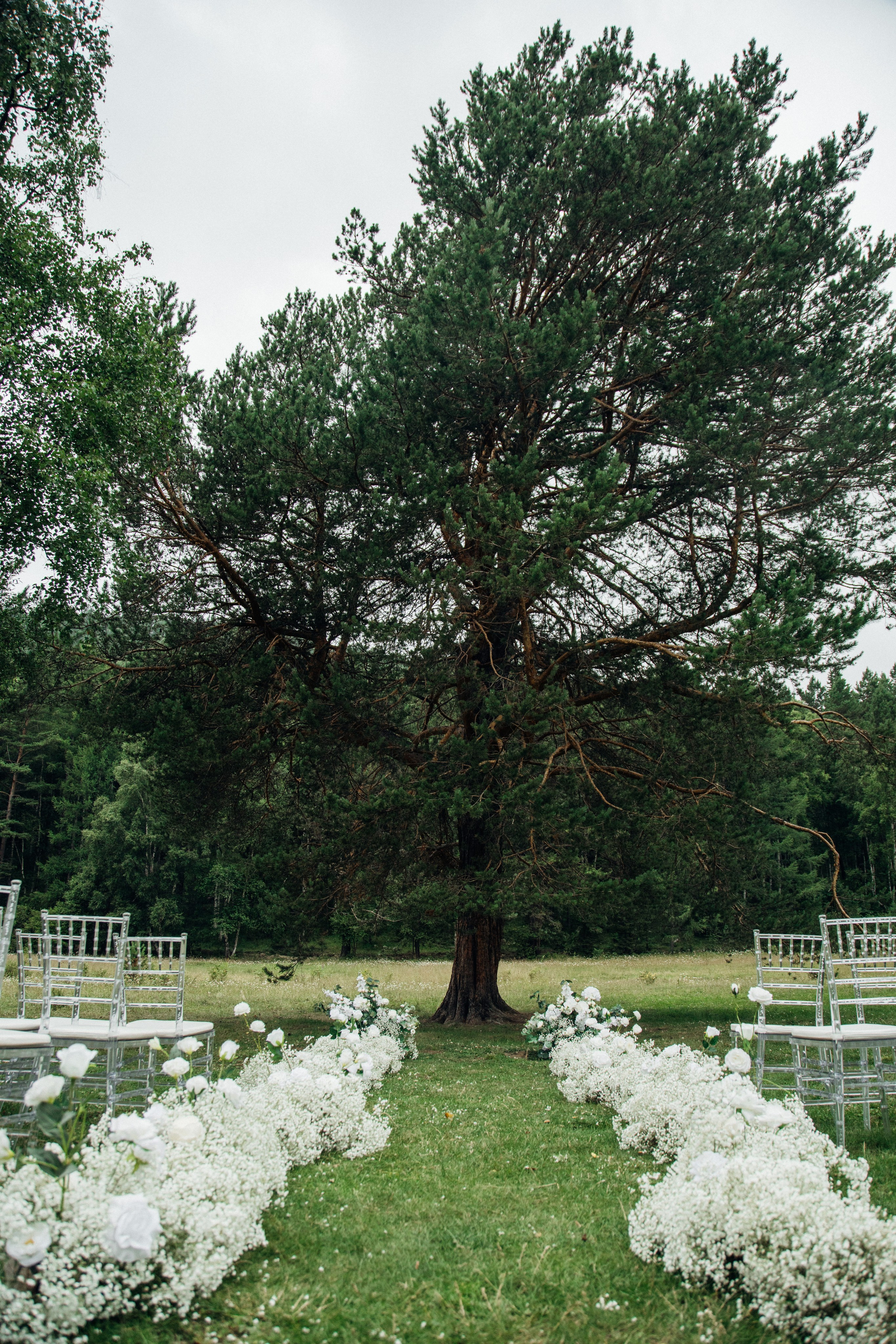 Свадебный день Дмитрия и Полины. Фотограф Анна Чернигова