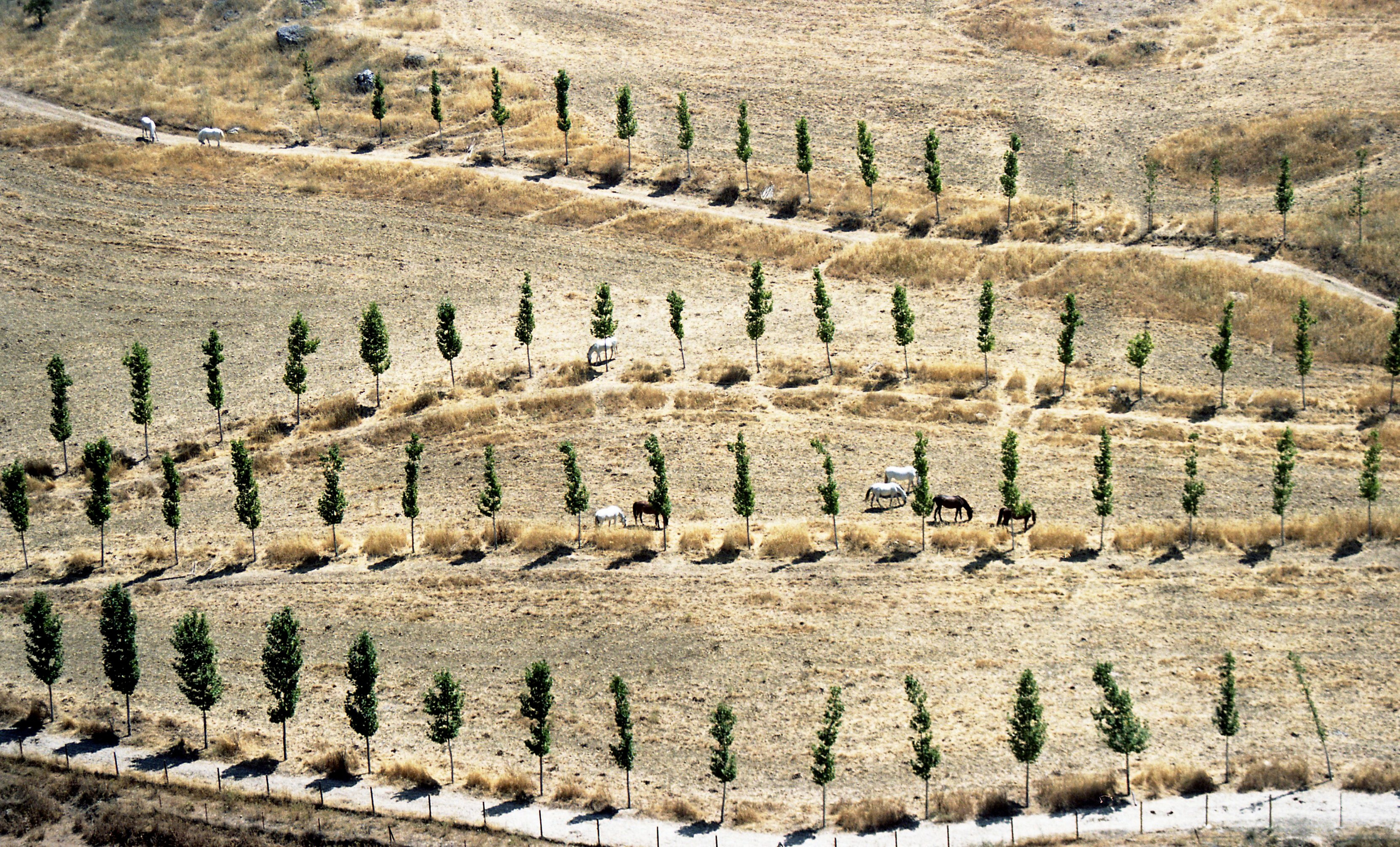 Испания, Андалусия. Елена Никитина. Фотохудожник. Пленочная фотография. Принты