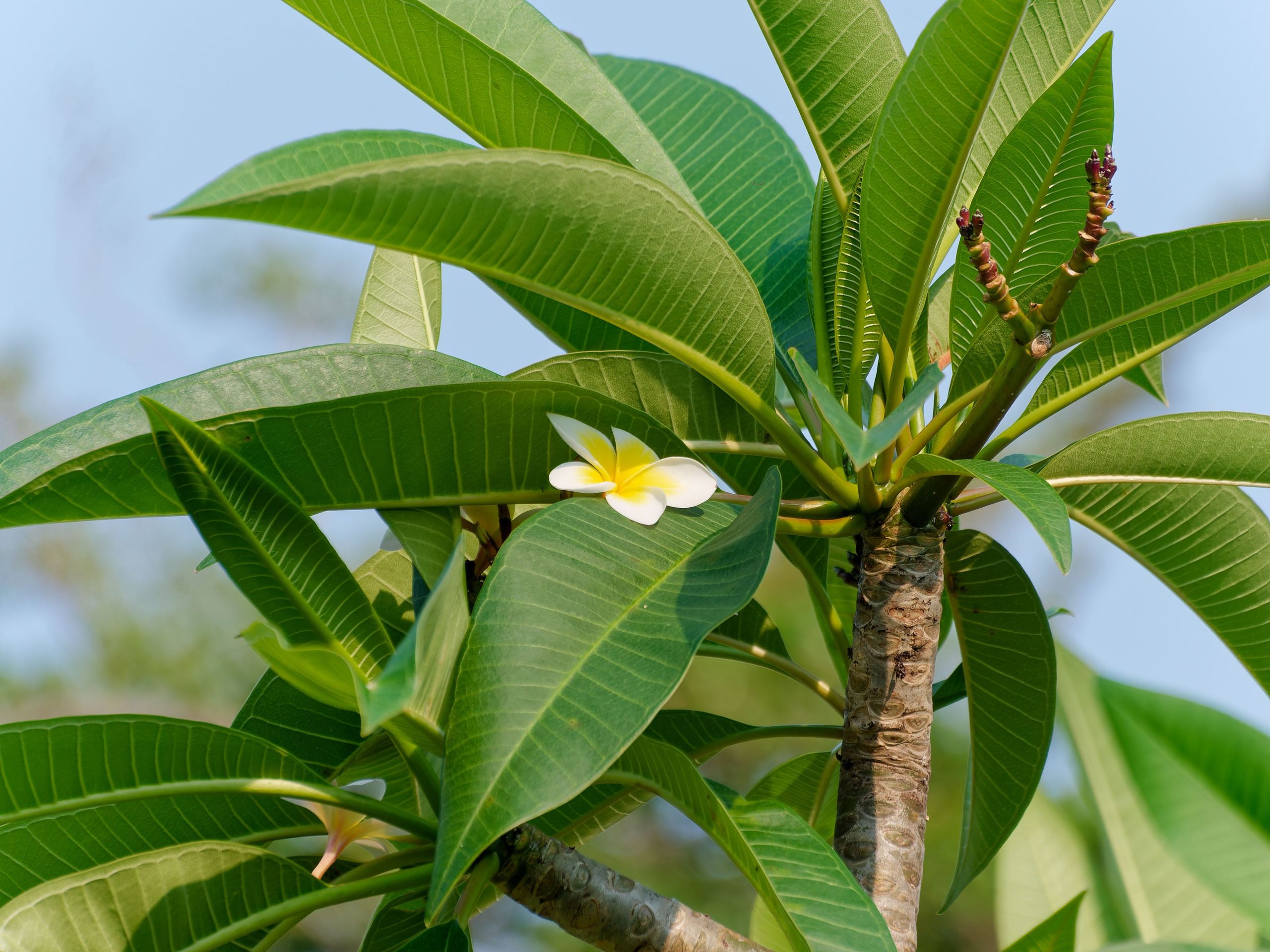Хайнань 2026, первые впечатления. Фотопрогулки по Миру