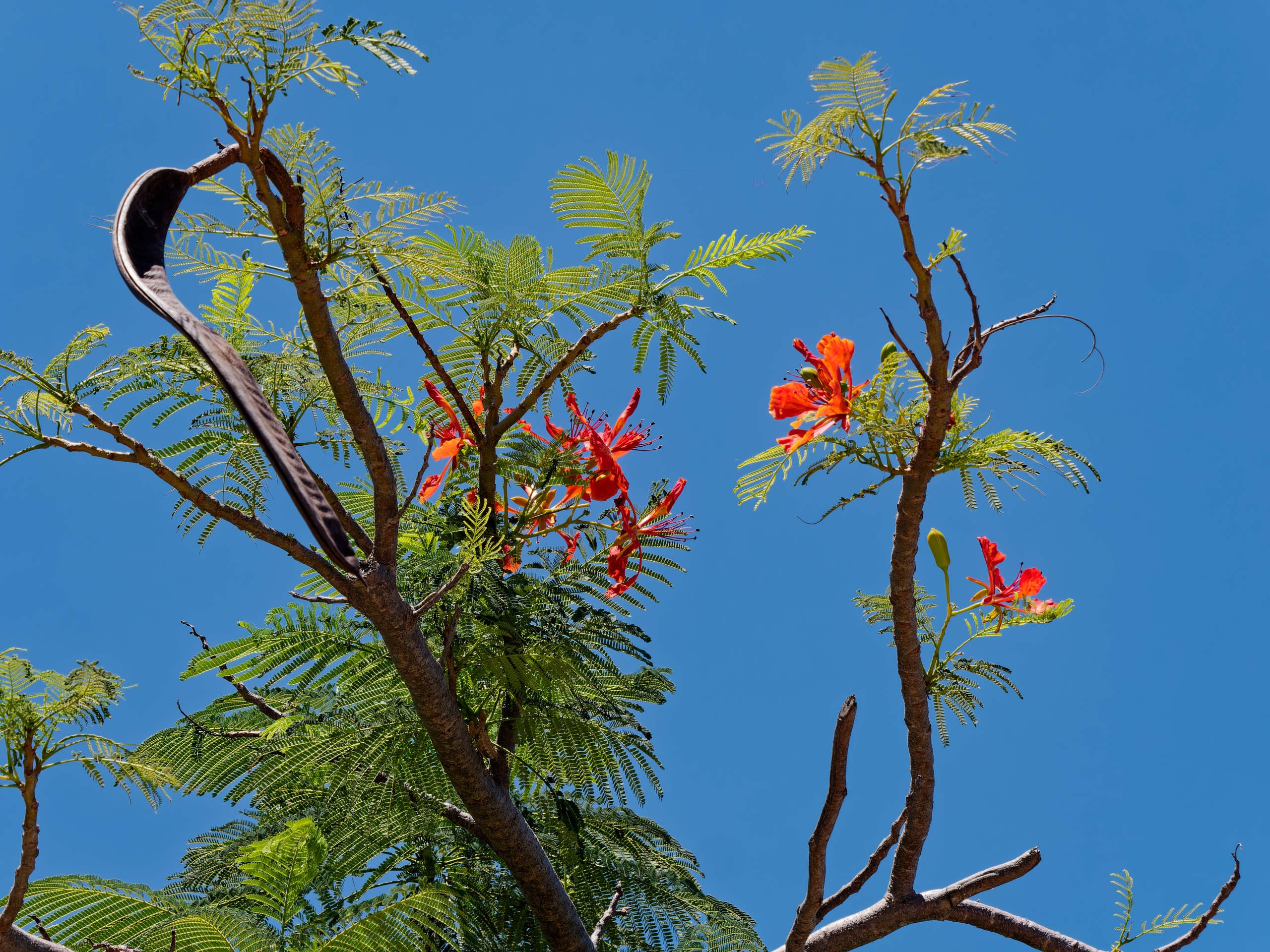 Нячанг 2025 (3). Избранные фотографии