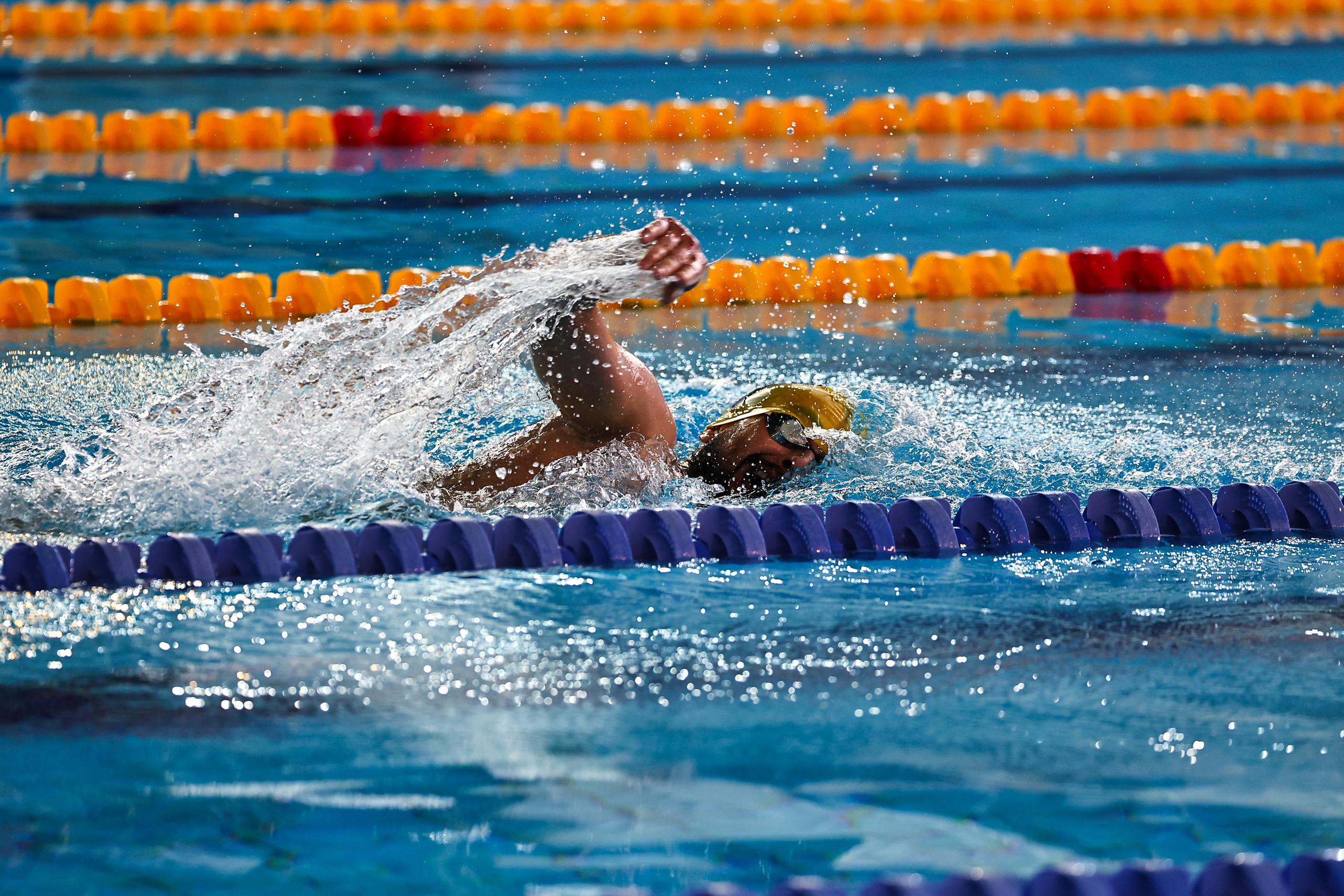ДЗМ Плавание 2026. Фототерапевт Ева Бунеева
