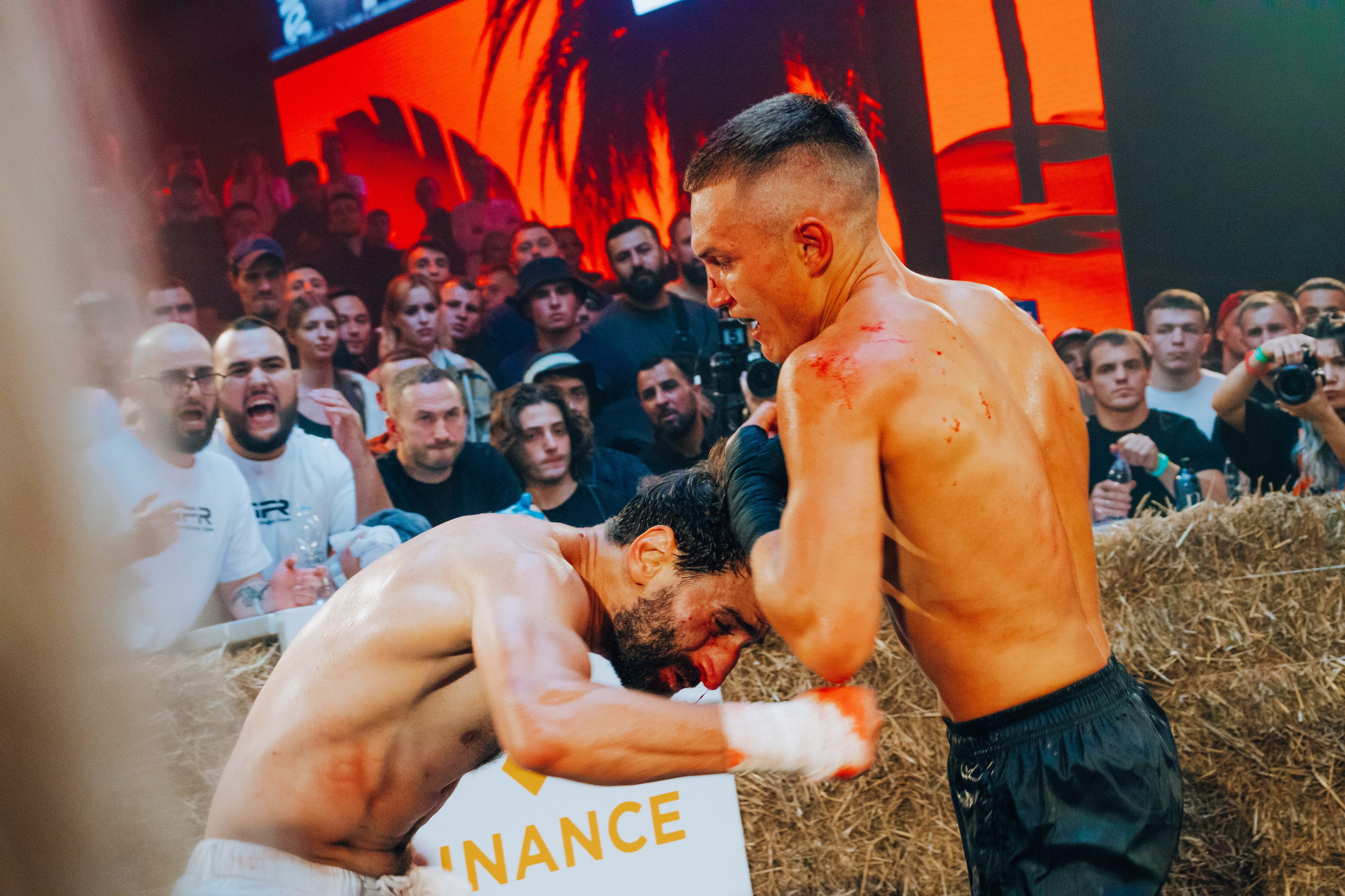 Кулачные бои TopDog. Анастасия Тен