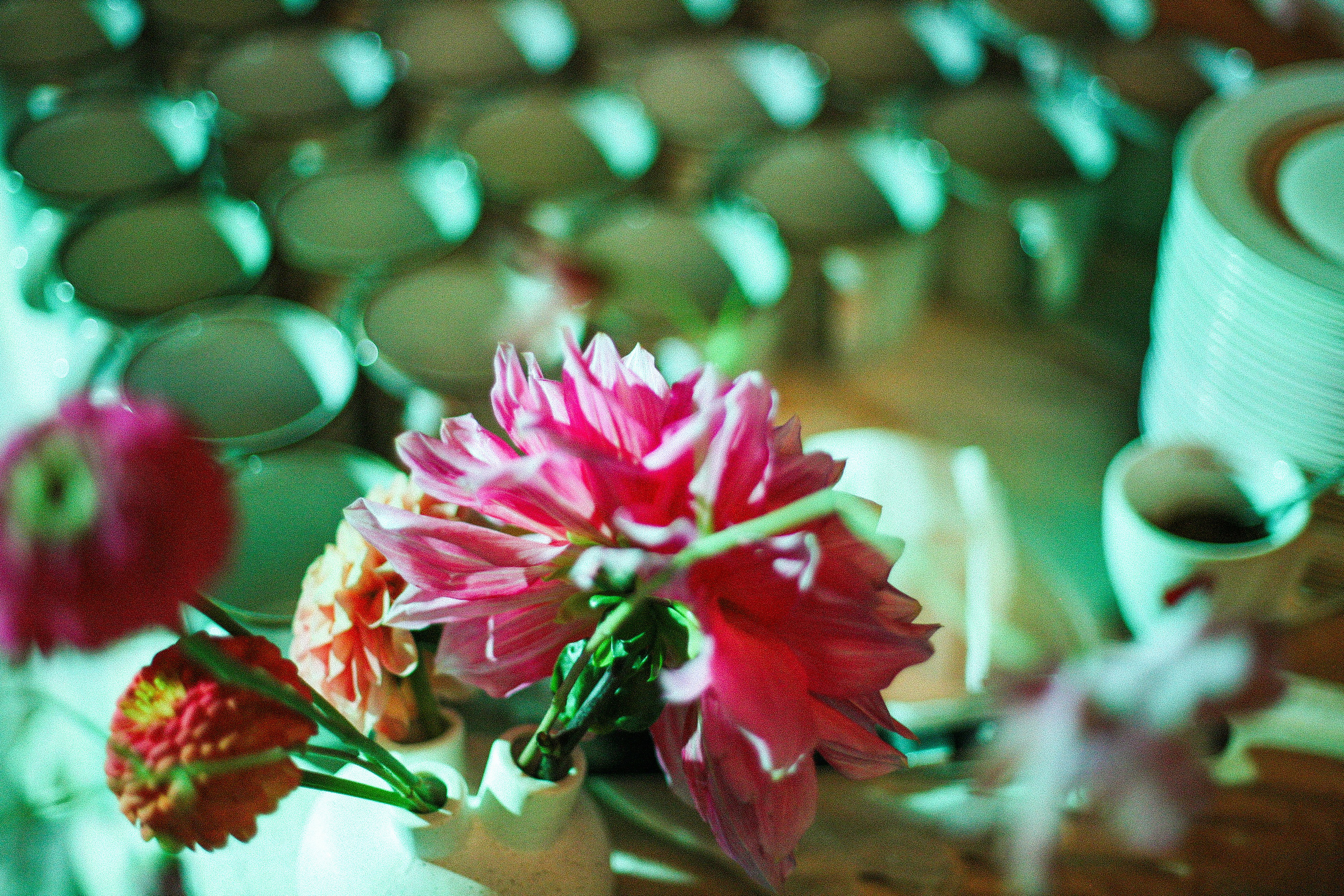 Аня и Кирилл (полный день с росписью). Фотограф Екатерина Максимова: семейные, индивидуальные съемки, свадьбы