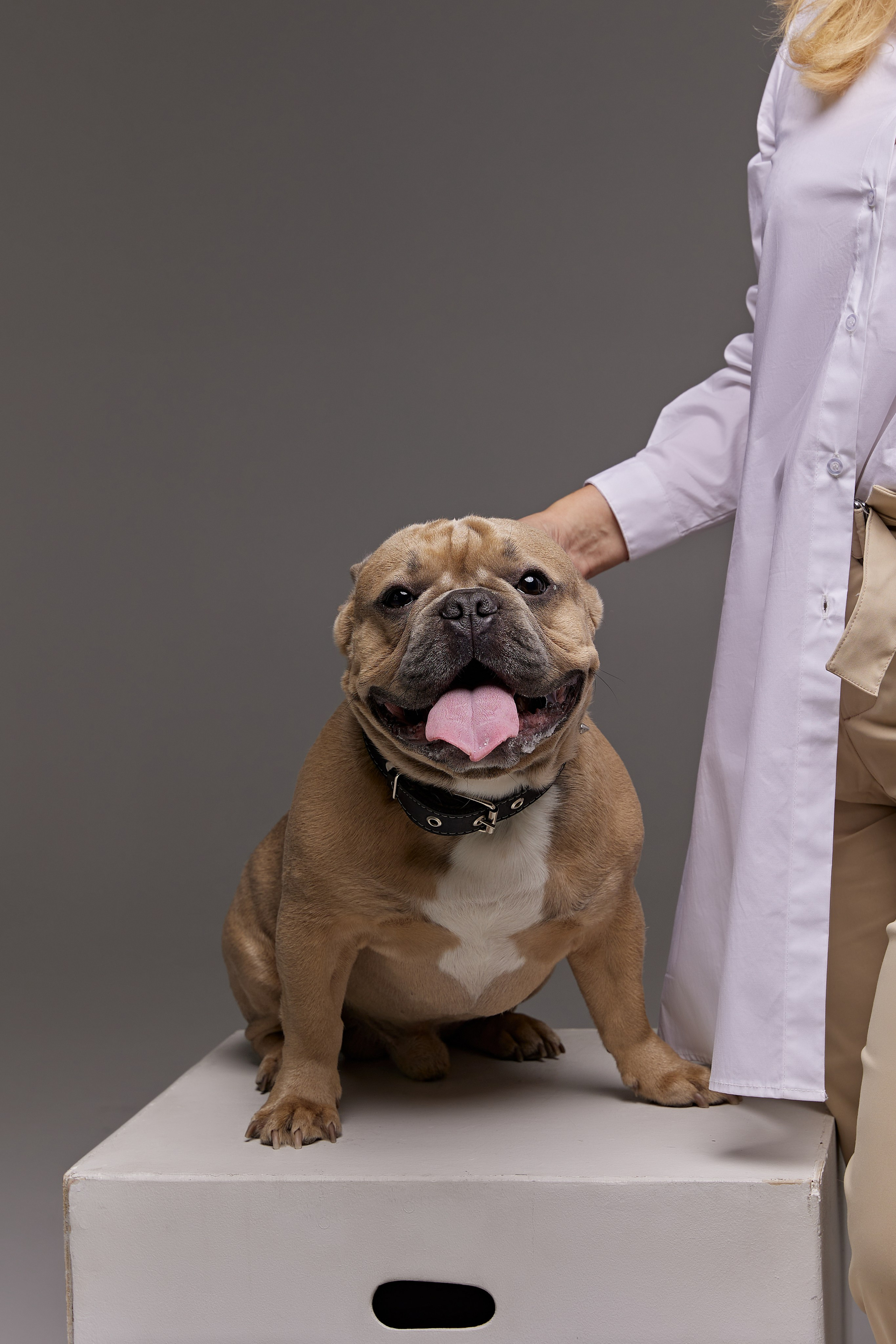 Наталья. Фотограф женского портрета, беременности и материнства Харькова Елена