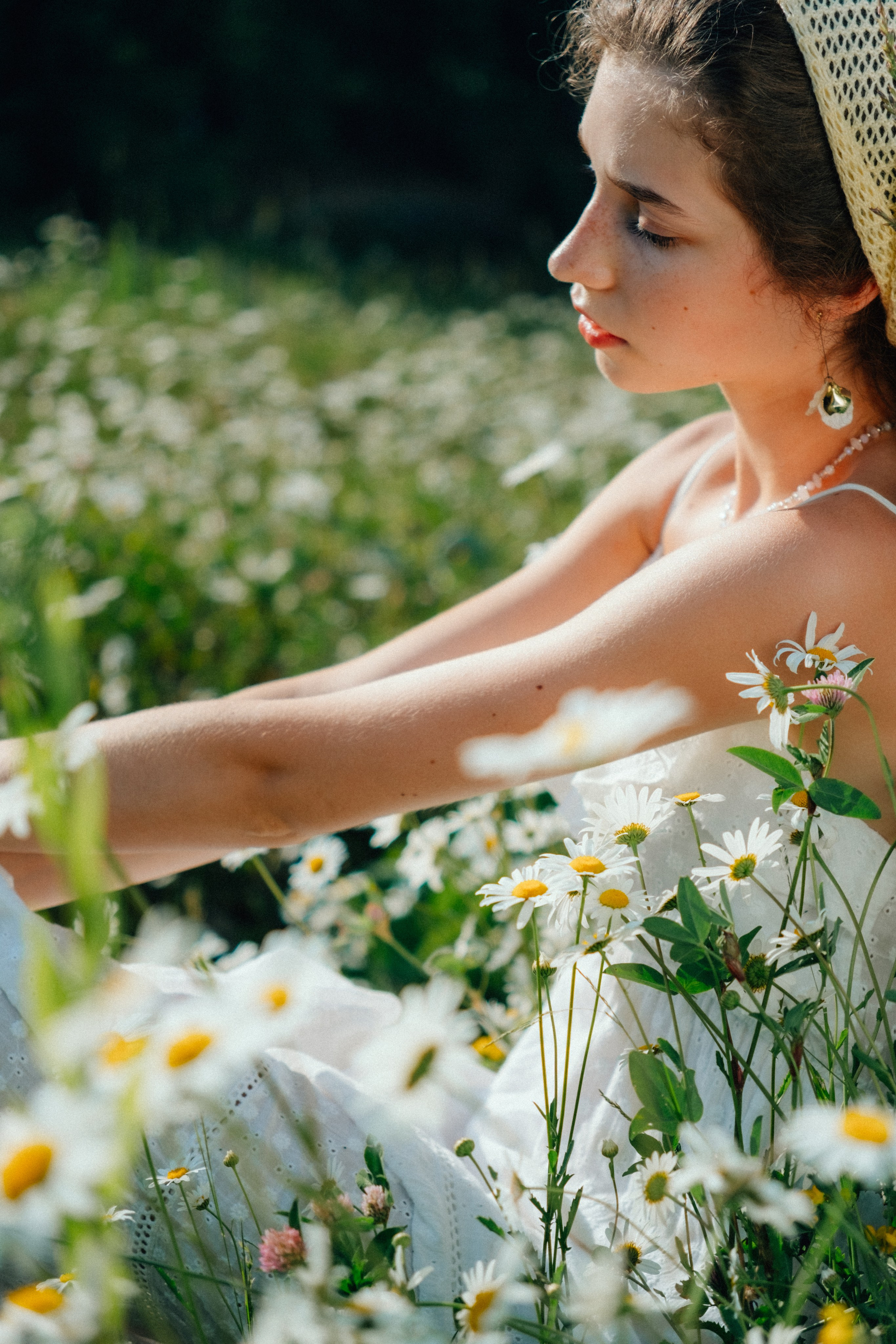 Ромашковые вершины. Репортажный фотограф в Сочи Екатерина Вежливцева